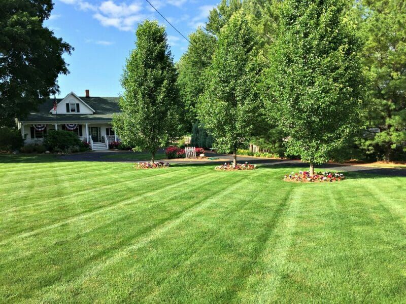  for Clark's Cuts Lawn Care in Lilburn, GA