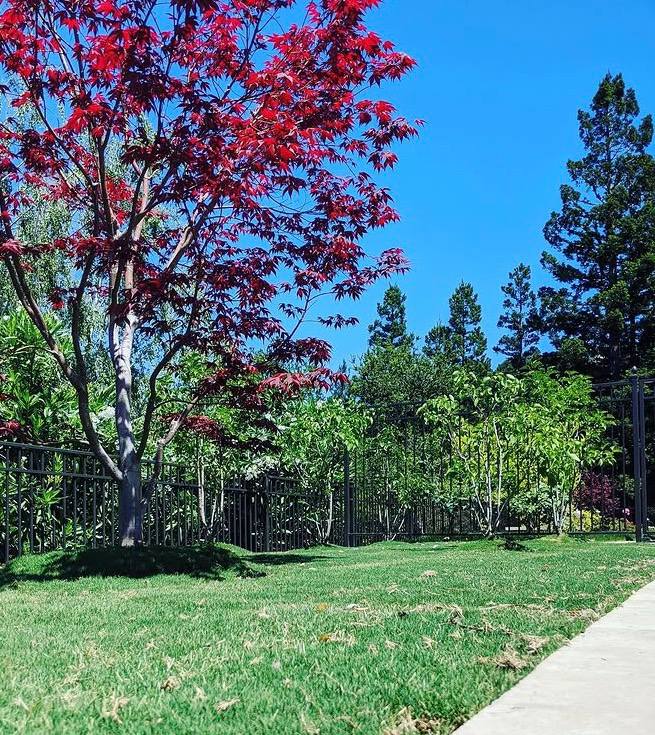  for RHS in San Jose, CA