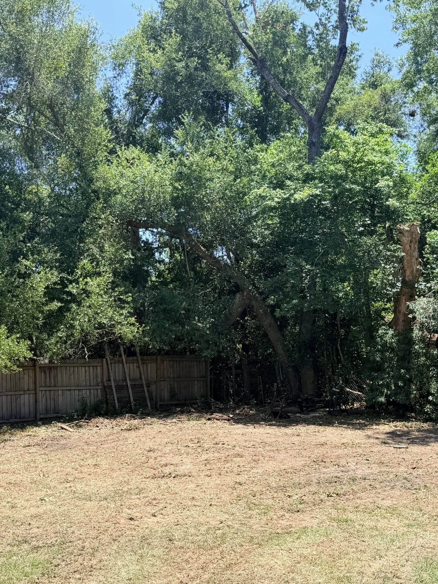cover-photo