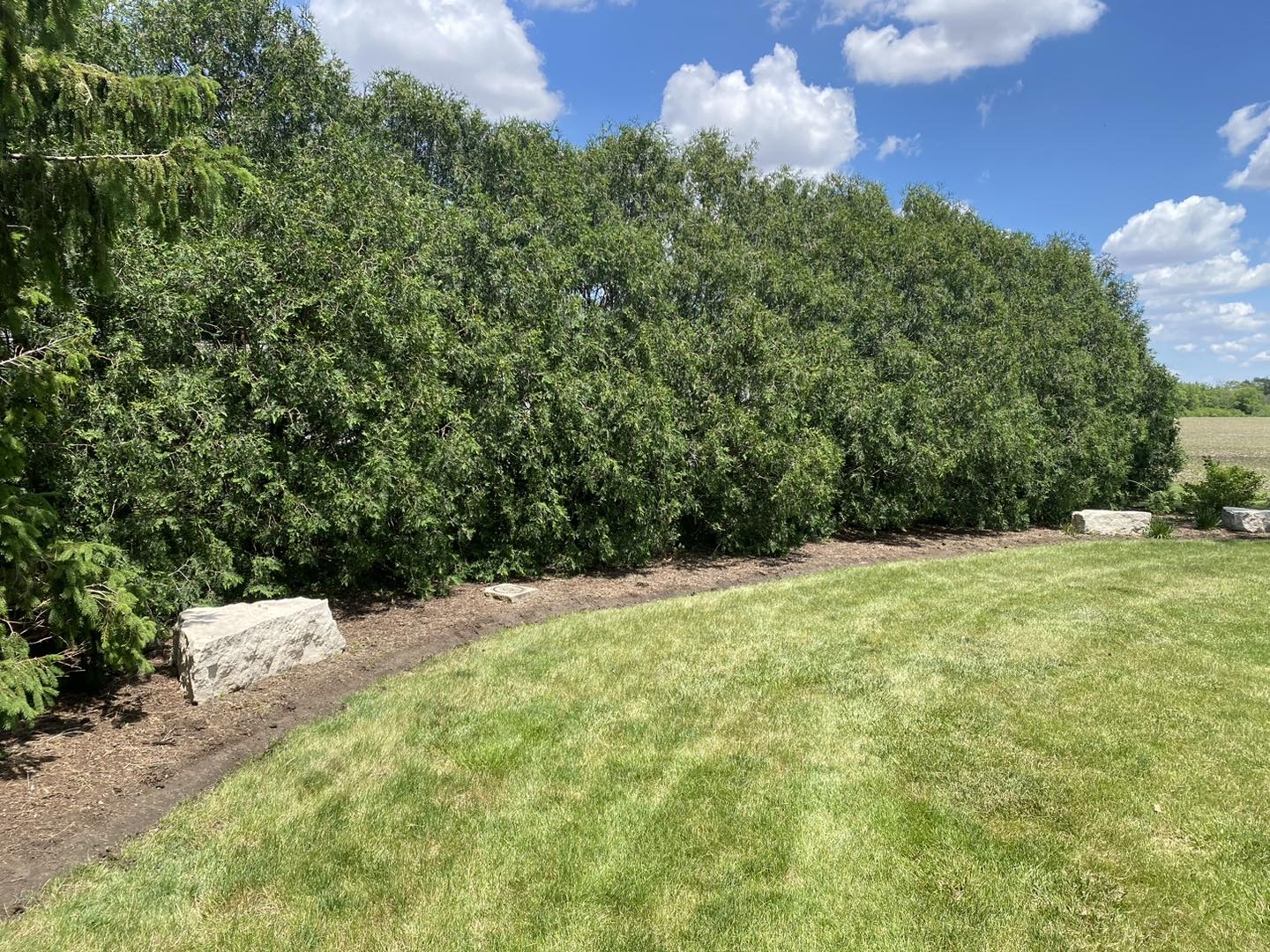  for Lawn Masters in Hoopeston, IL