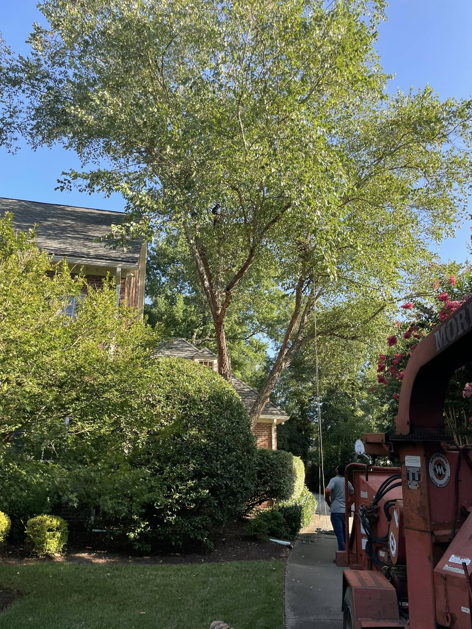  for J&J Tree Services in Raleigh, NC