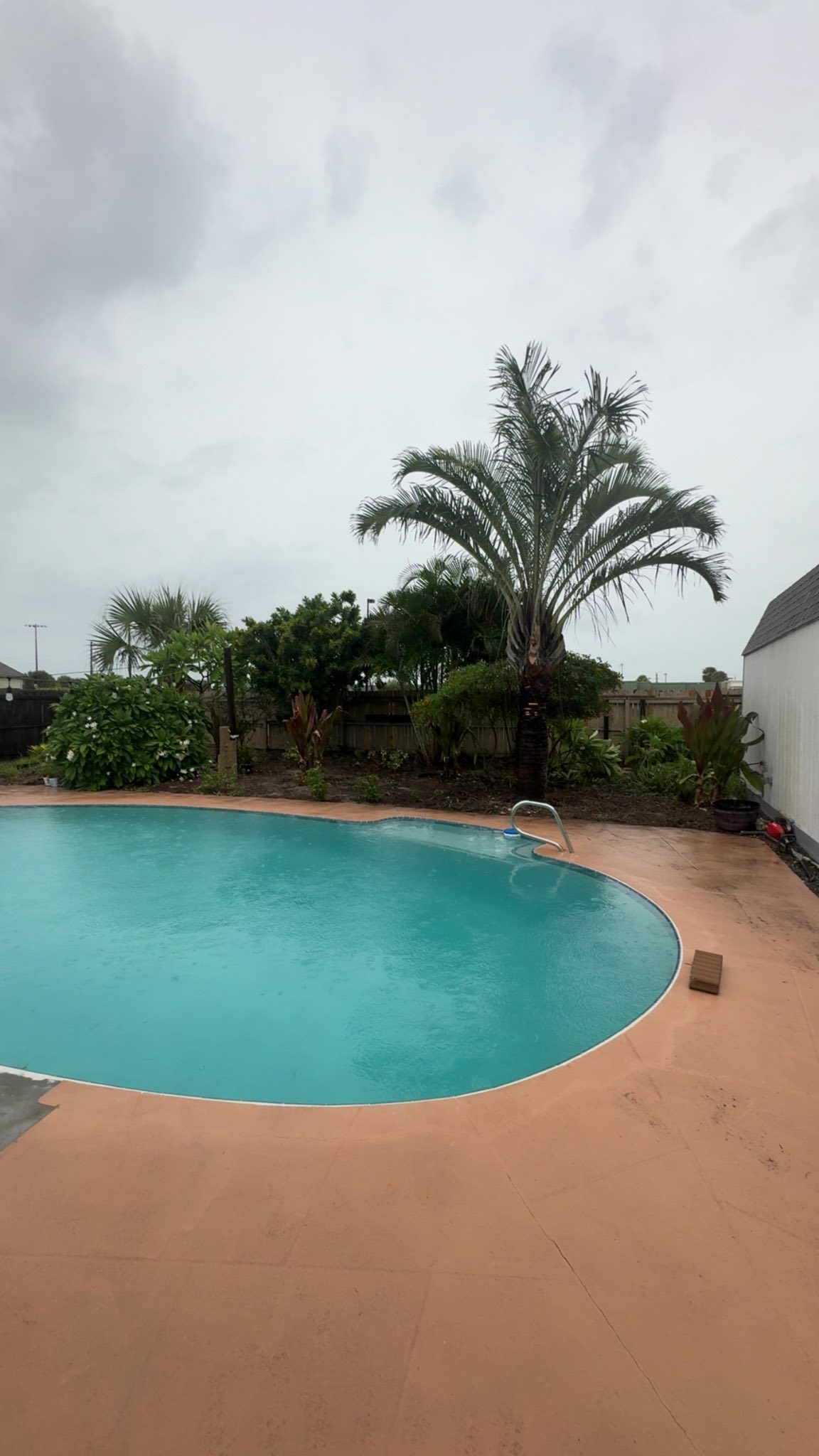  for Space Coast Property Maintenance and Management LLC in Brevard County, FL