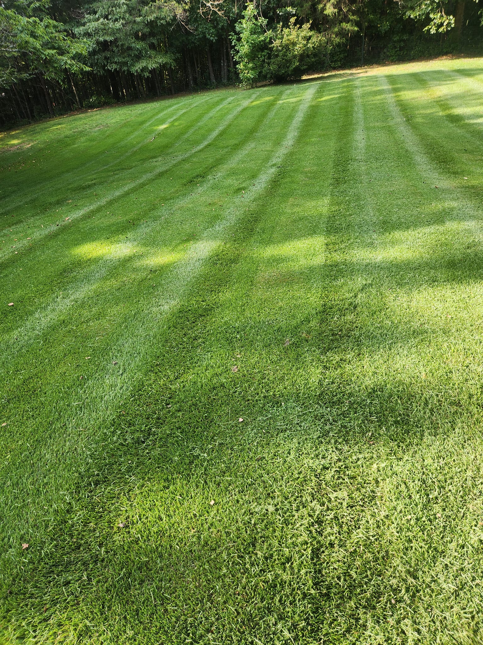 Landscaping company Ordered Steps Landscaping in Rossville, GA