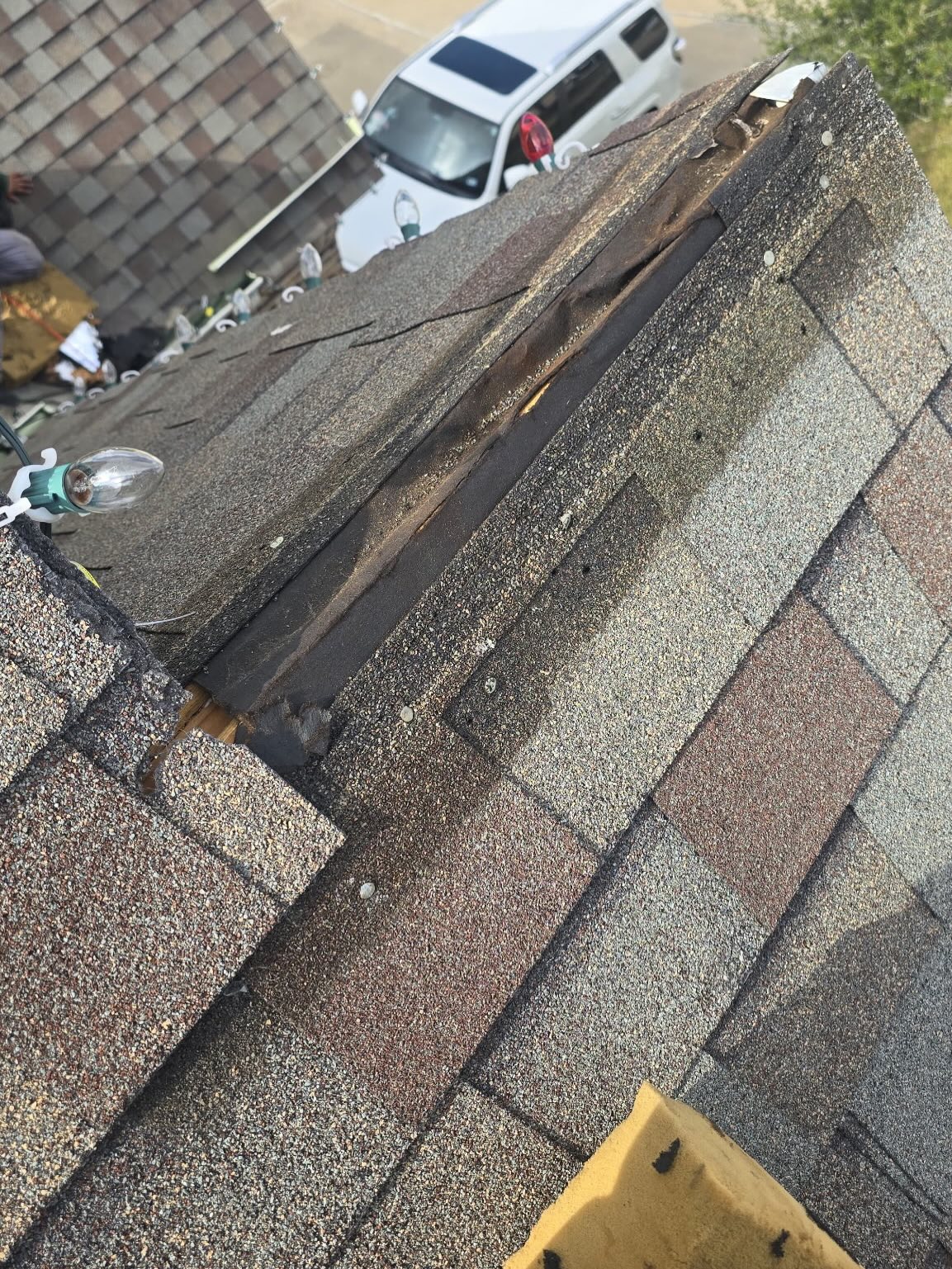  for Alpha Contracting Services in Katy, TX