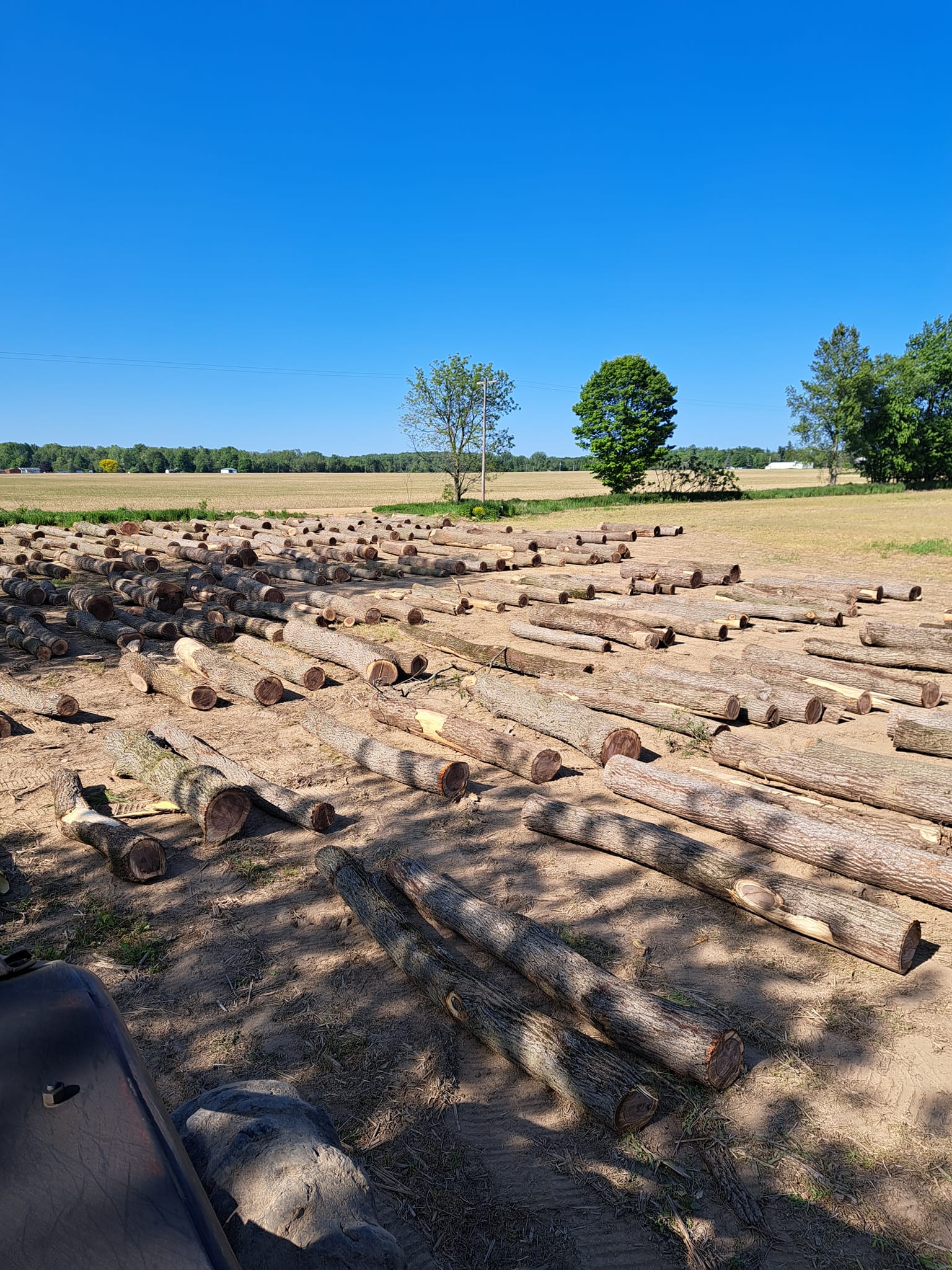  for God's Country Timber Management in Hillsdale, MI