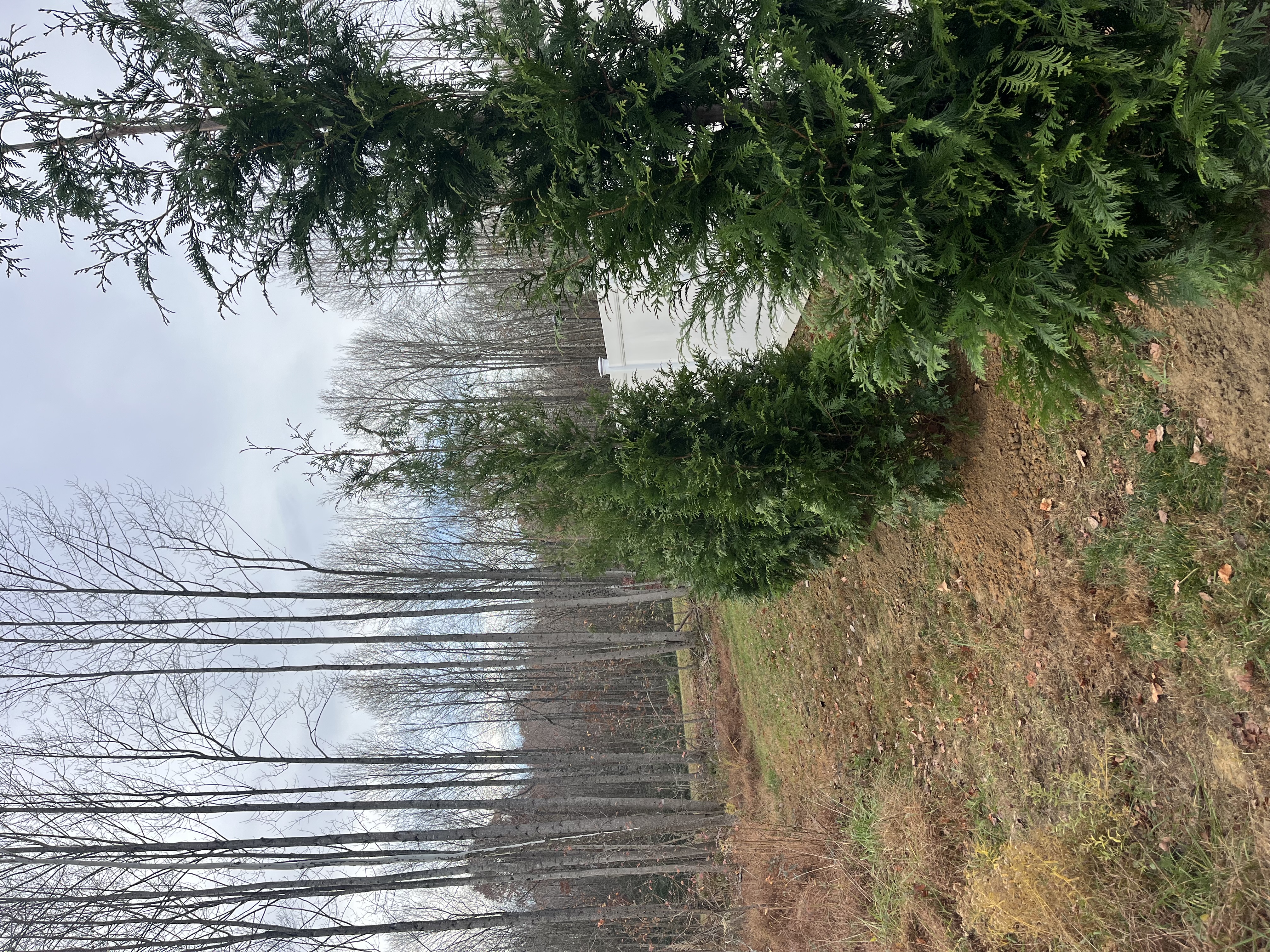  for Atlas Home Services in Mechanicsville, VA