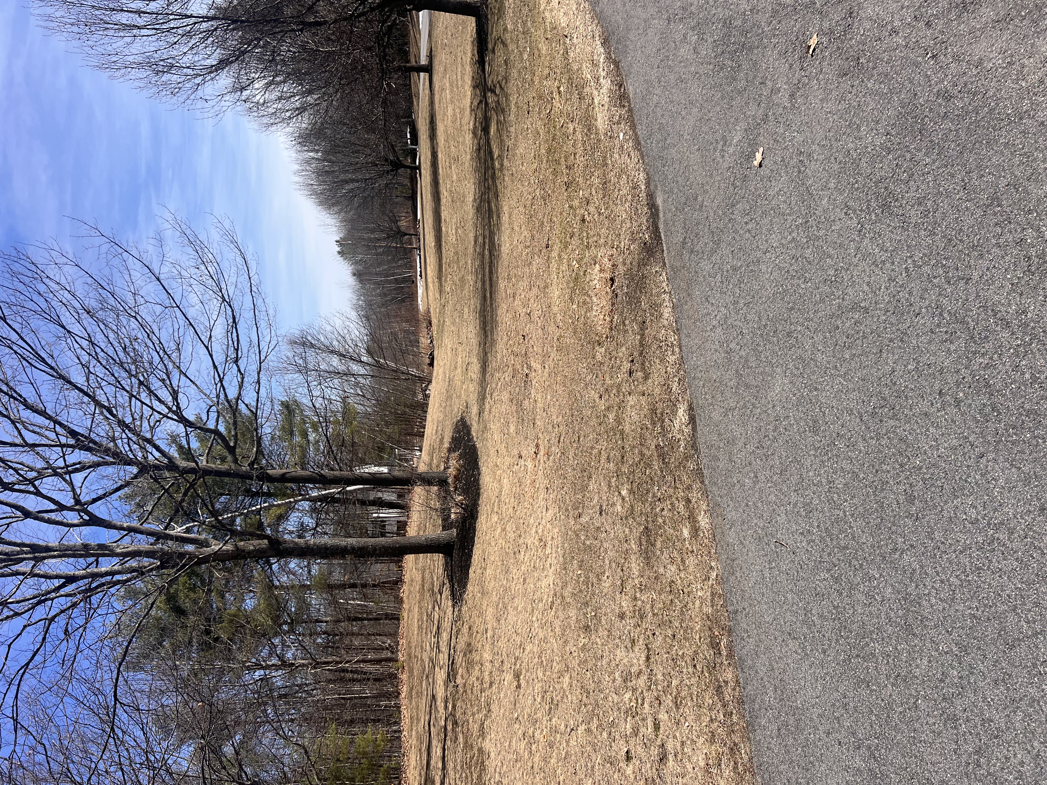  for Poop Pals NH in Gilford, NH