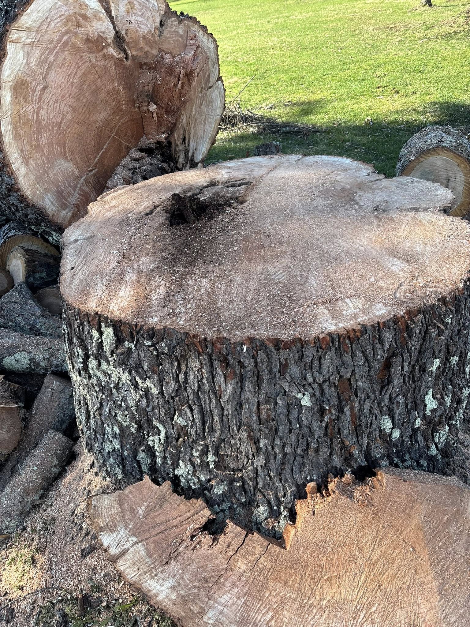  for Brax Forestry in Endicott, NY