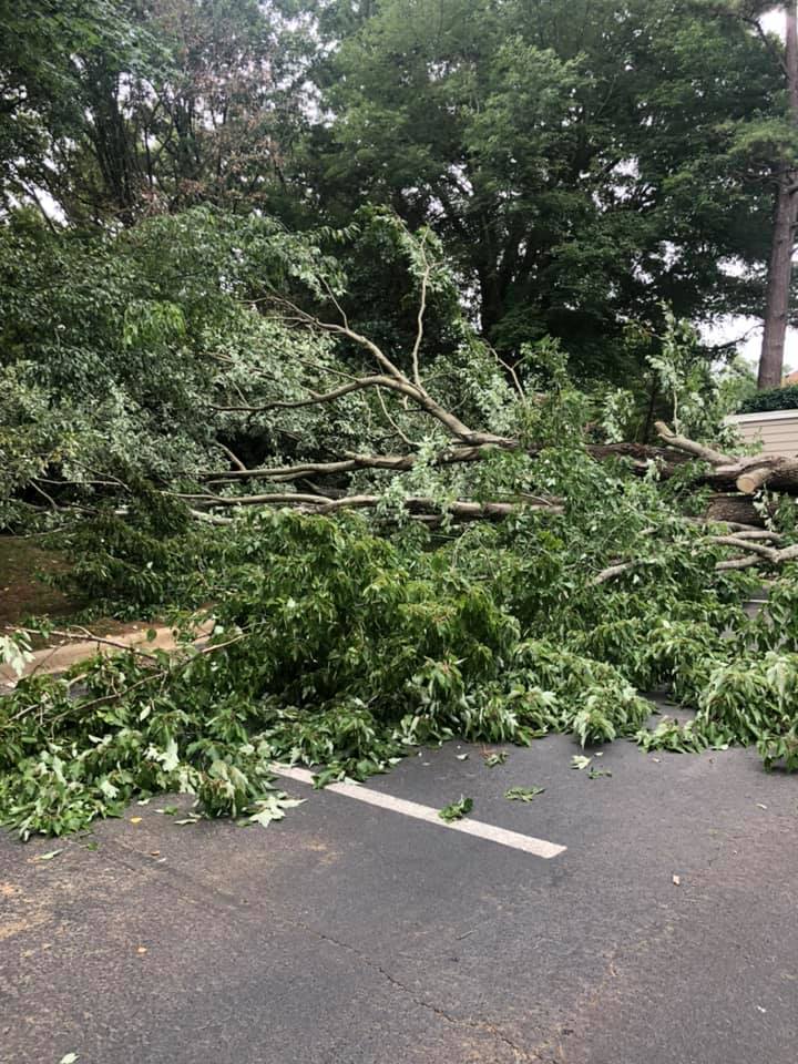  for North Meck Tree & Grounds Specialist in Huntersville, NC