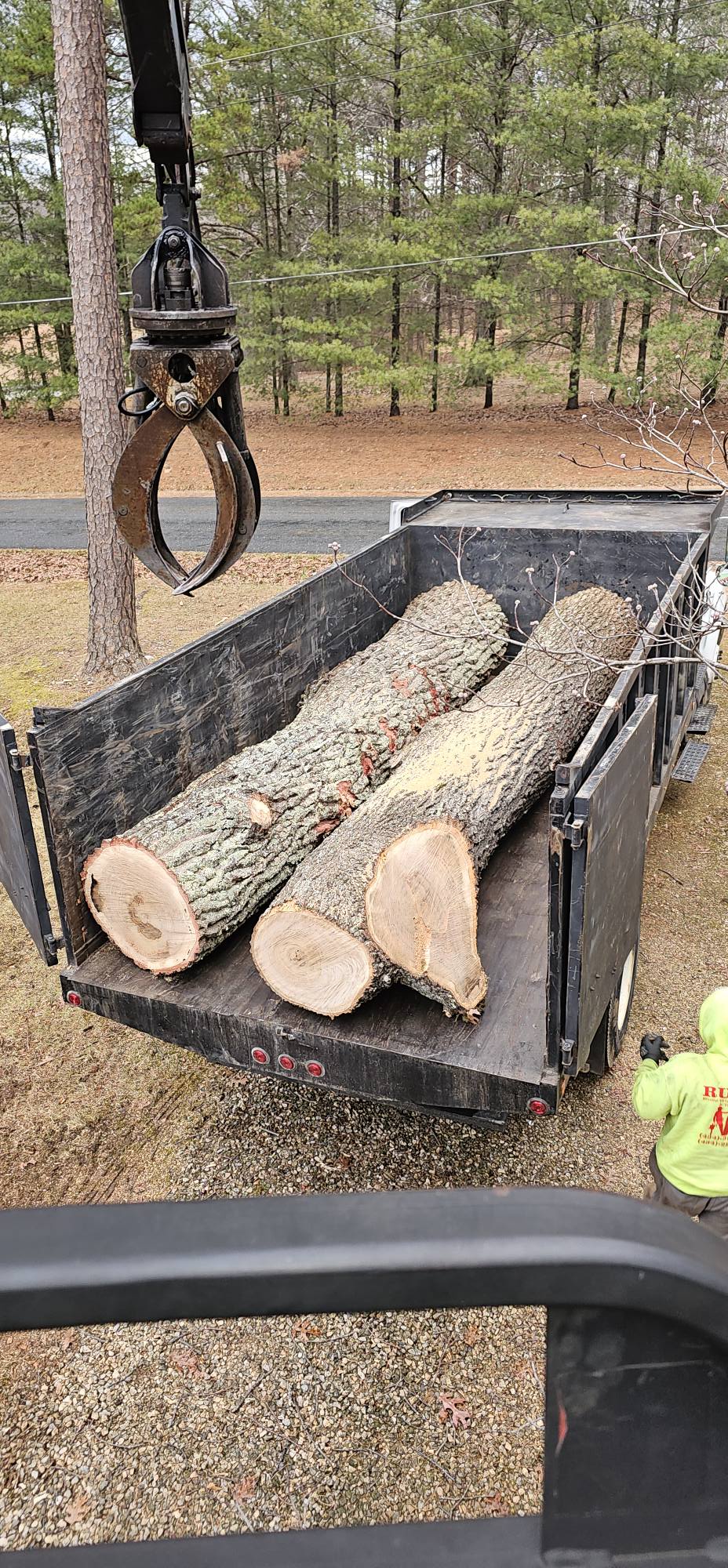  for Hamlett Tree Service LLC in Clover, VA