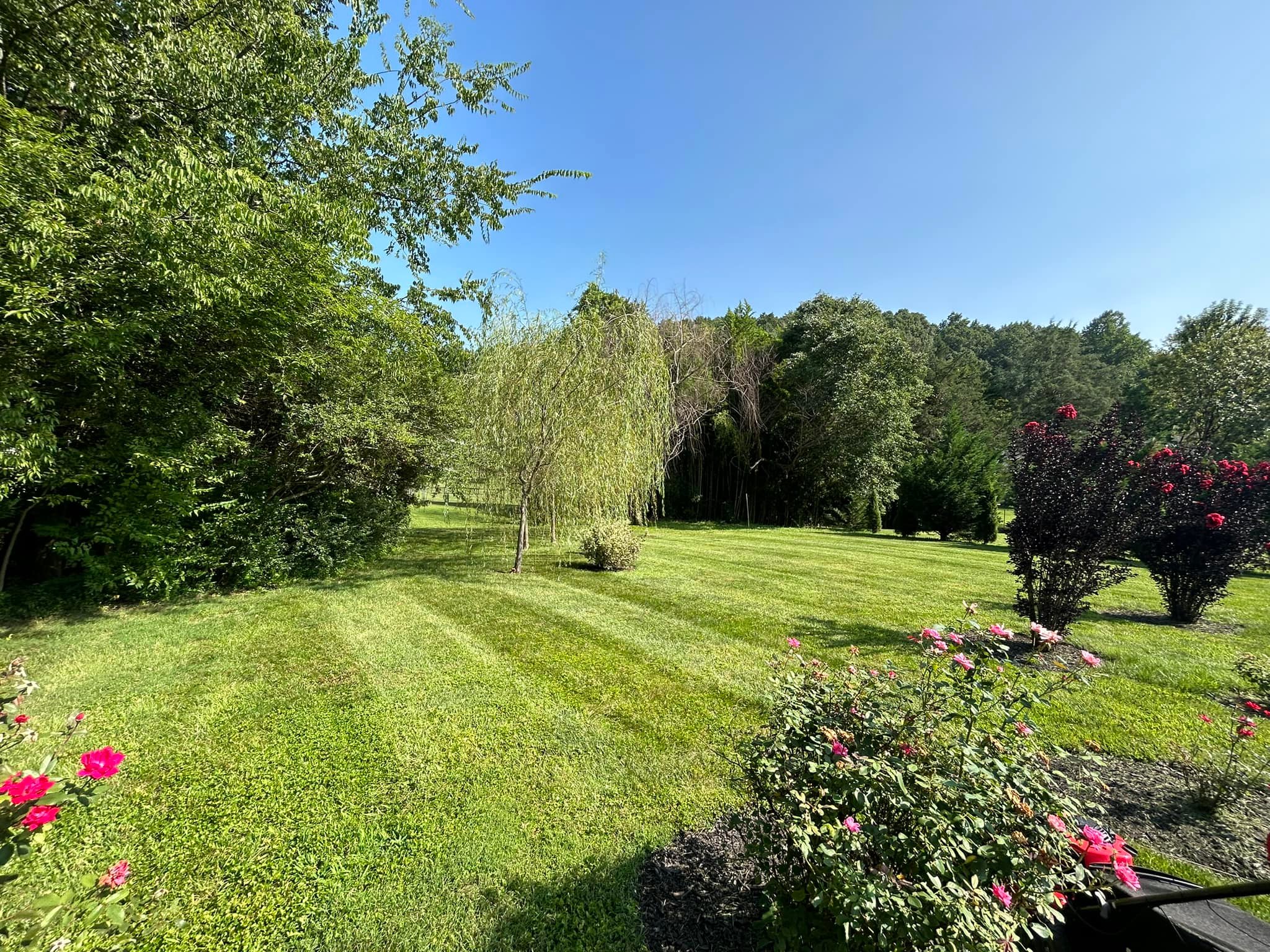 TJ’s Landscaping team in Knoxville, TN - people or person