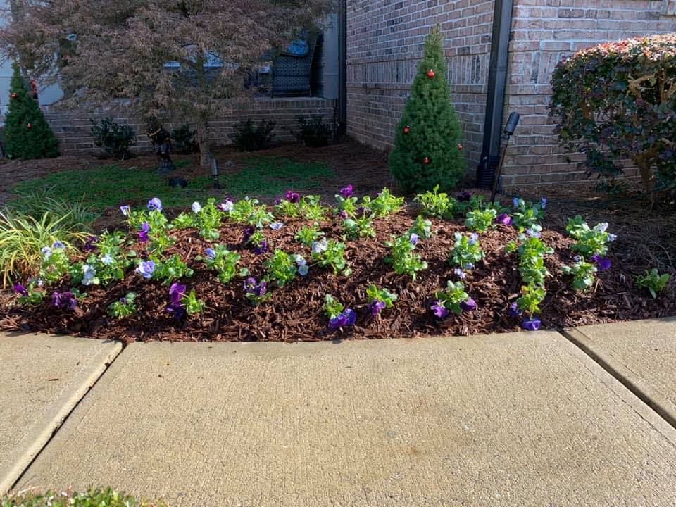 Landscaping company Bega Landscape Services in Atlanta, Georgia