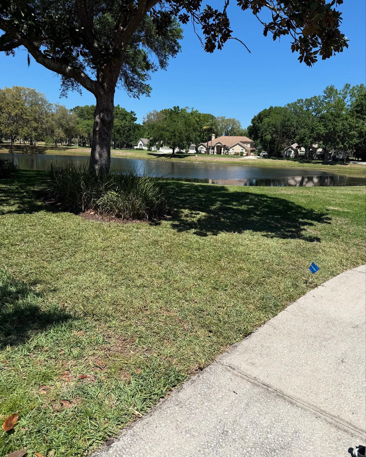  for Whole 9 Yards Services in Green Cove Springs, FL