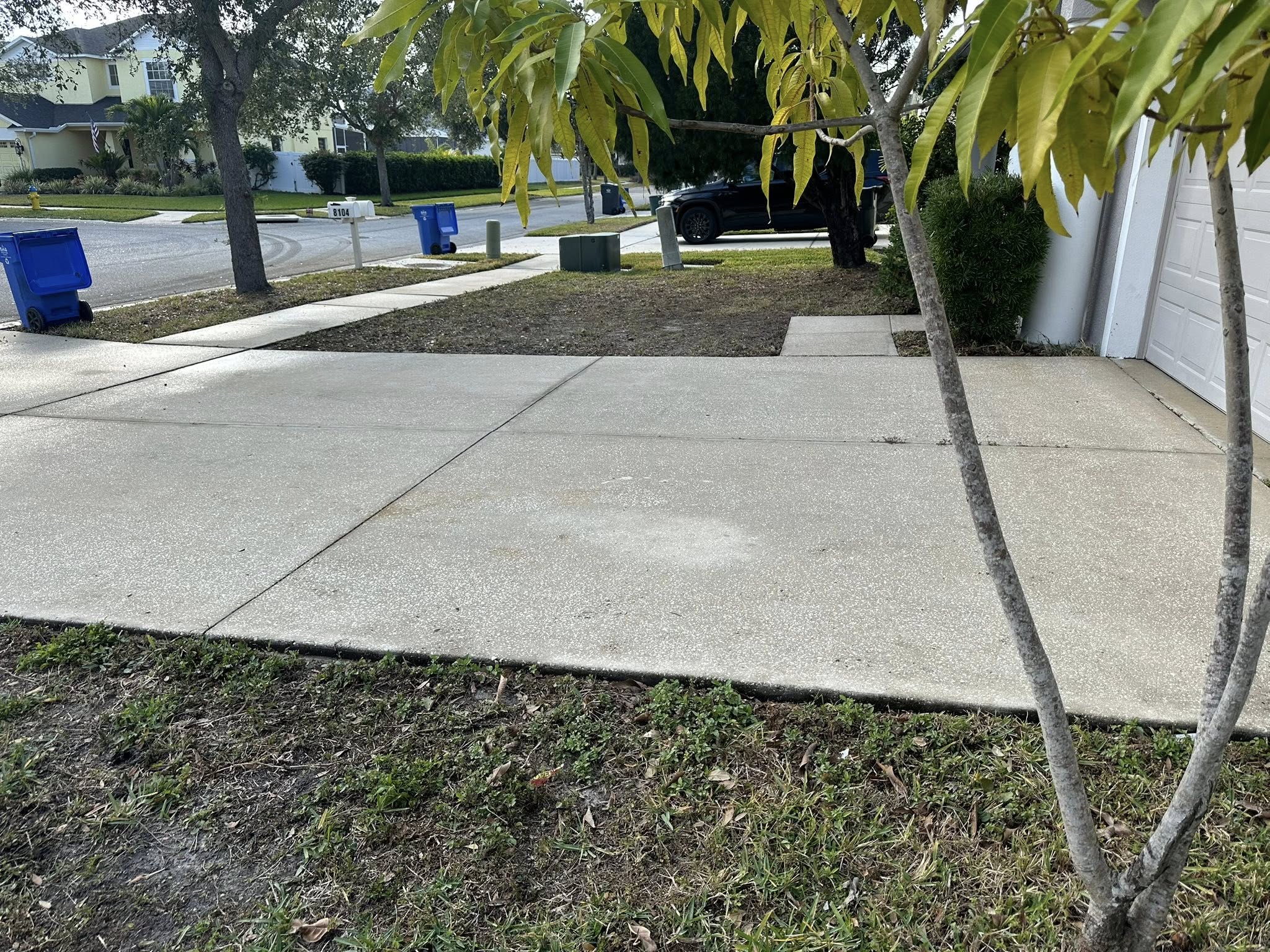 Landscaping company The Yardman in Tampa, FL