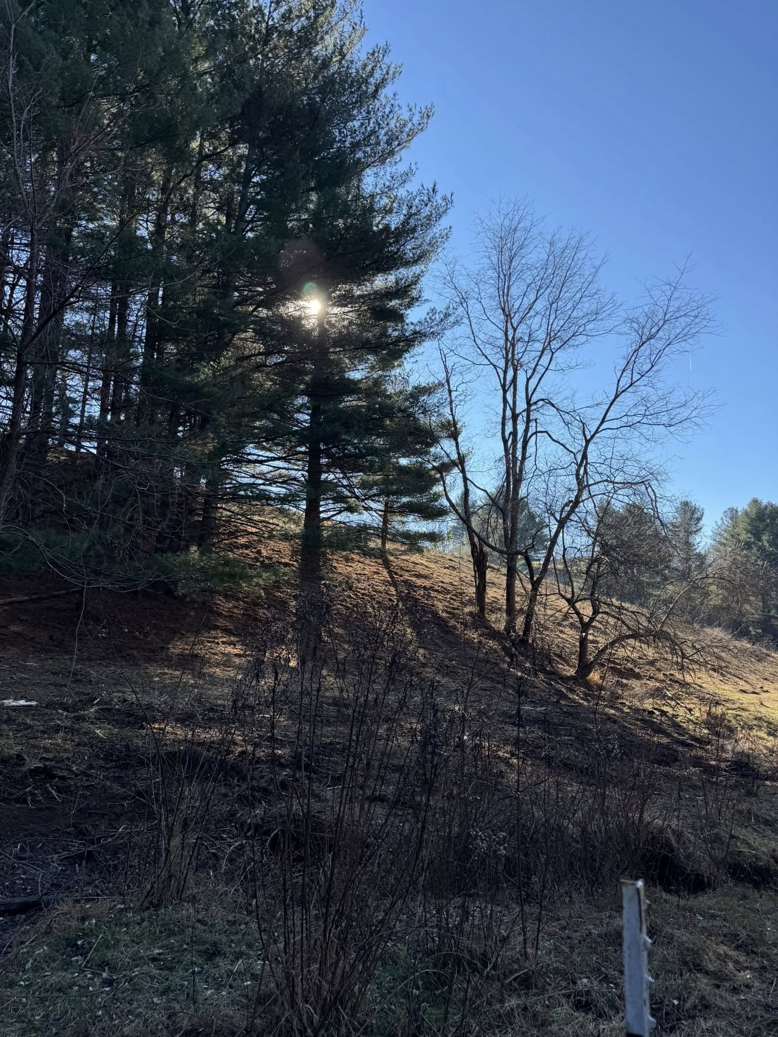  for Mountain Goat Land Management in Galax, VA
