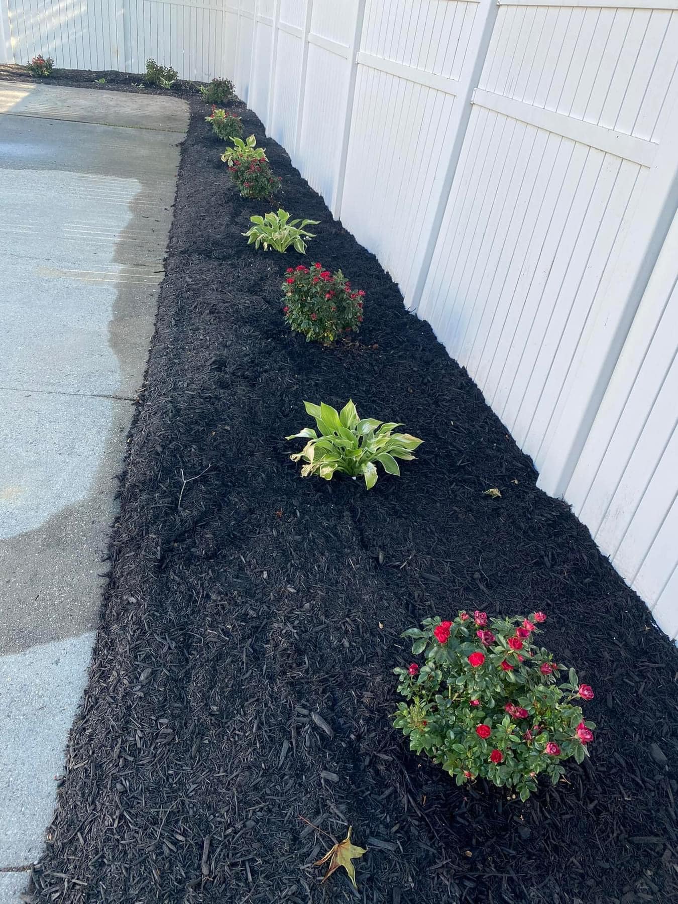  for Lawn Popper's, LLC in Richmond, VA