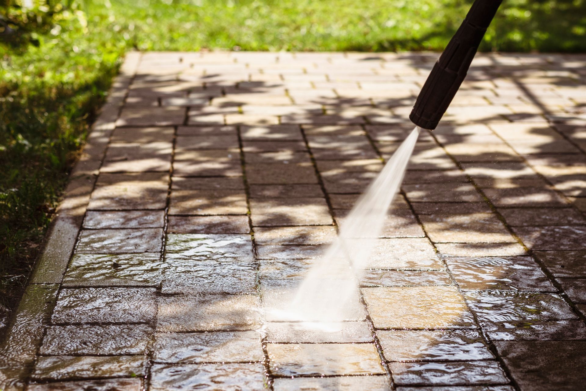 Clean residential driveway & walkway (feature photo)