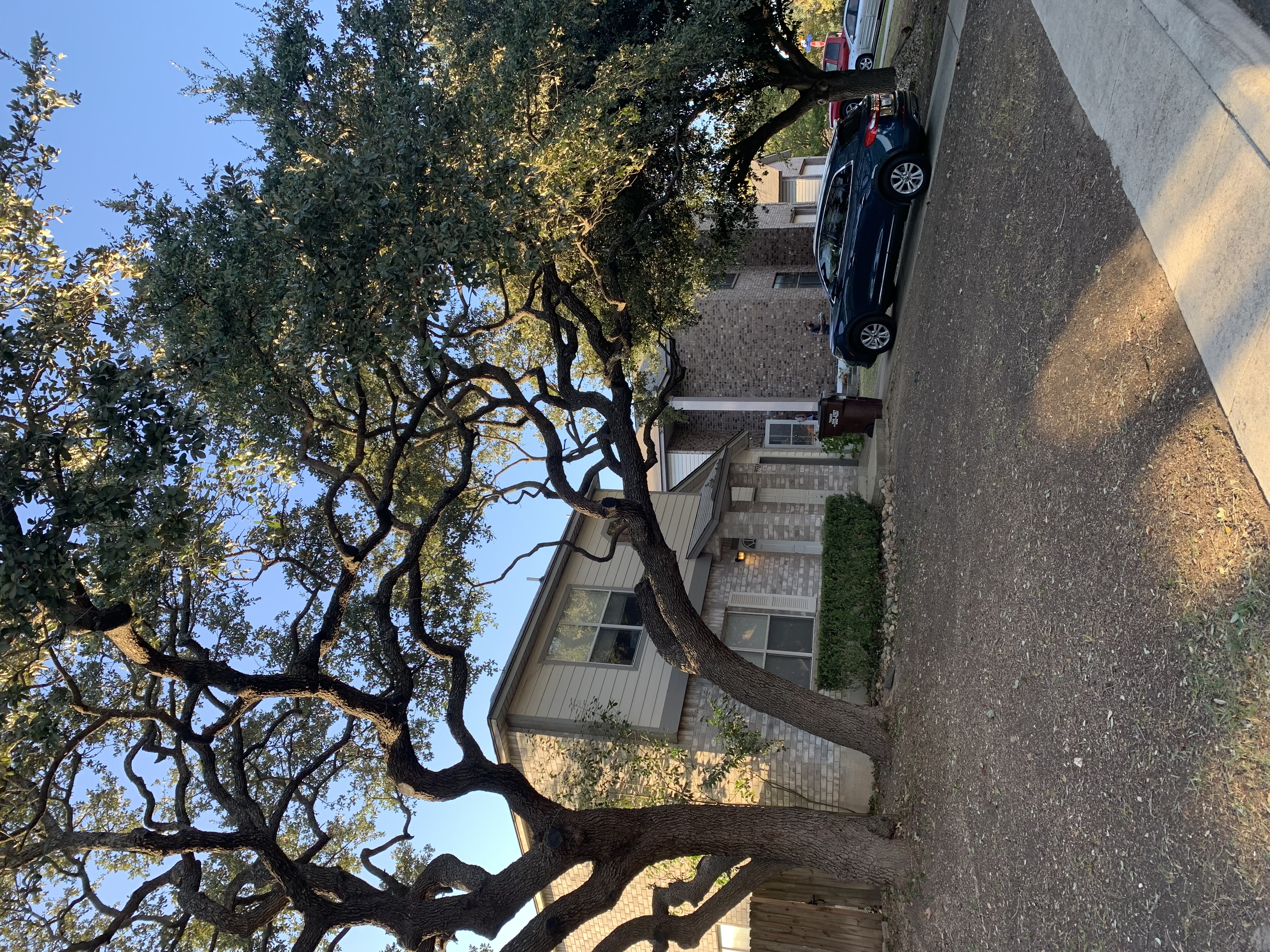  for DR Landscape in San Antonio, TX