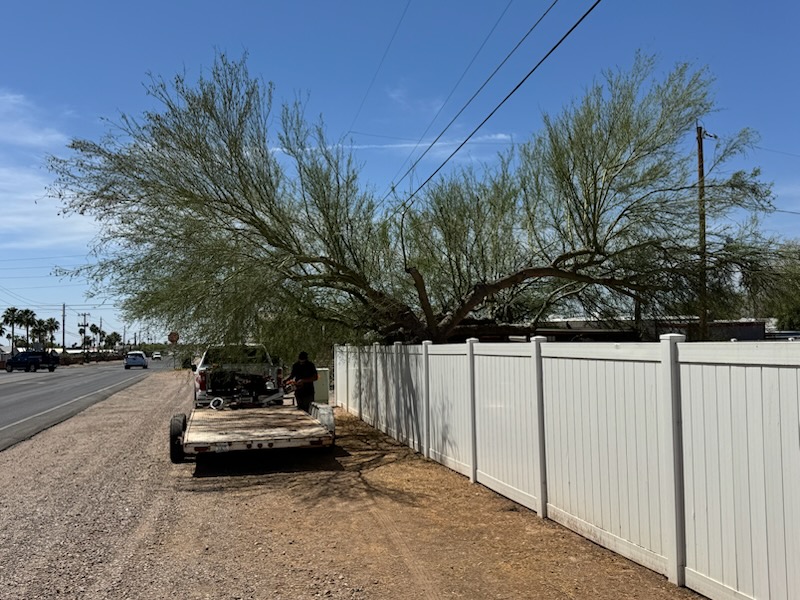 cover-photo