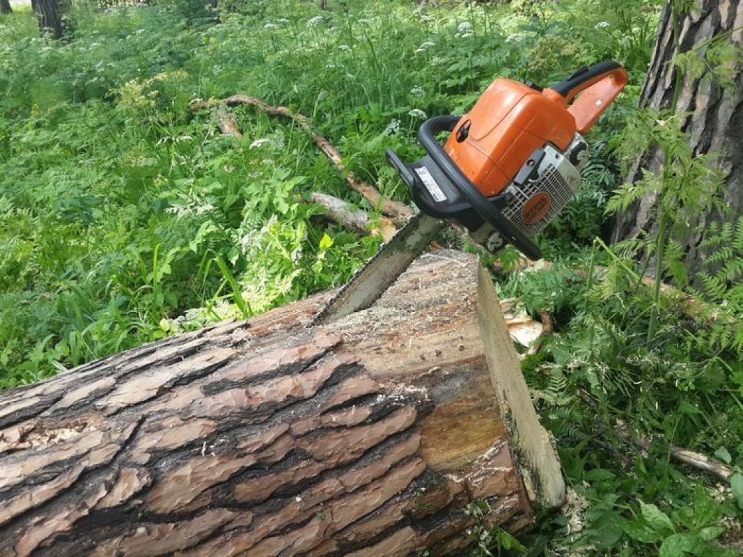  for Fairbairn Tree trimming in Willmar, MN