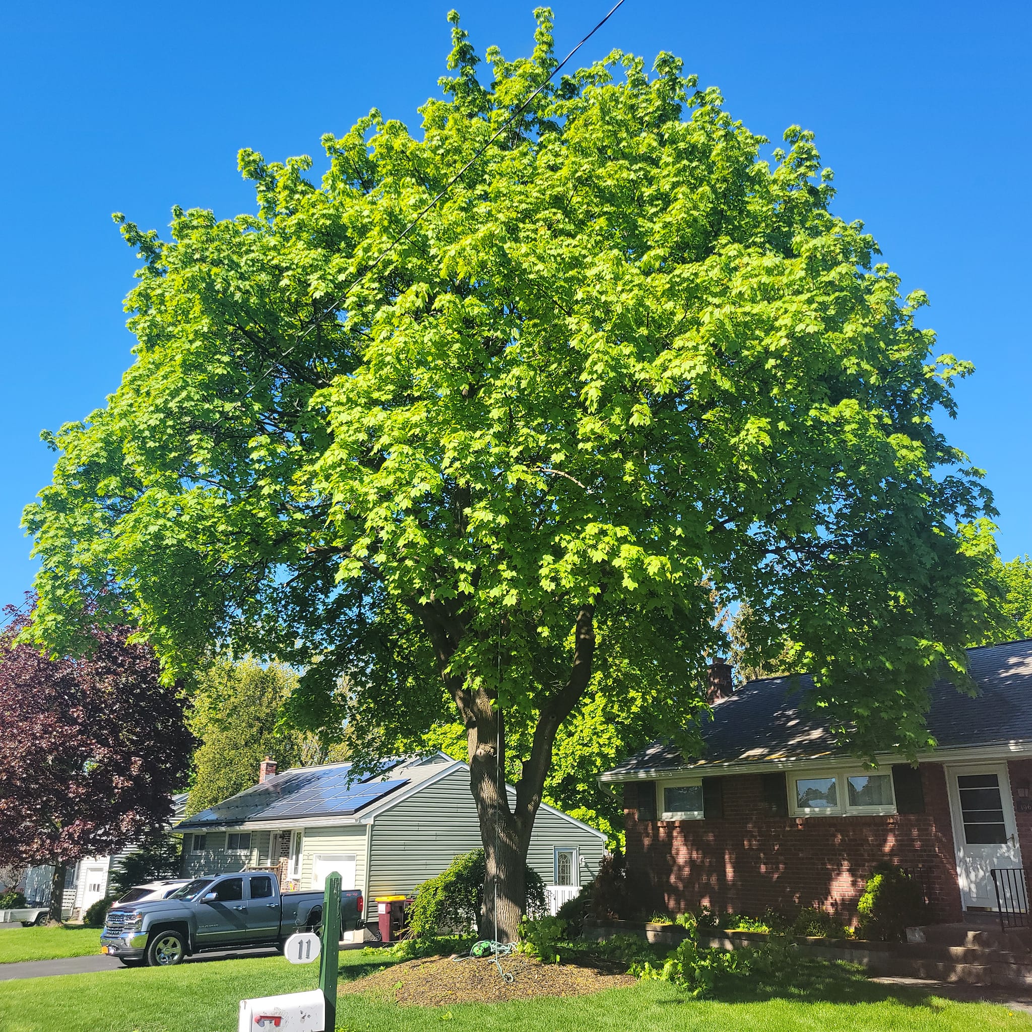 cover-photo