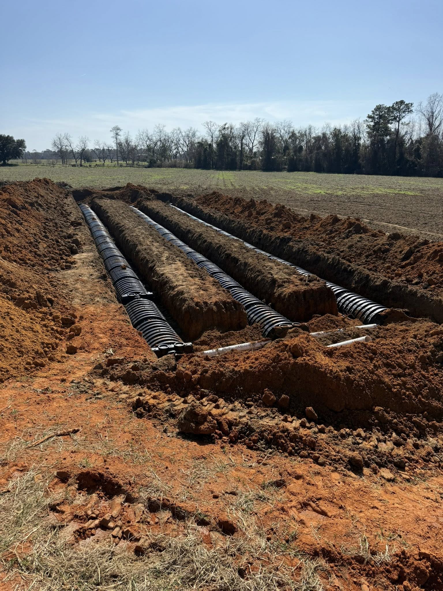  for Earthworks Septic LLC in Albany, Georgia