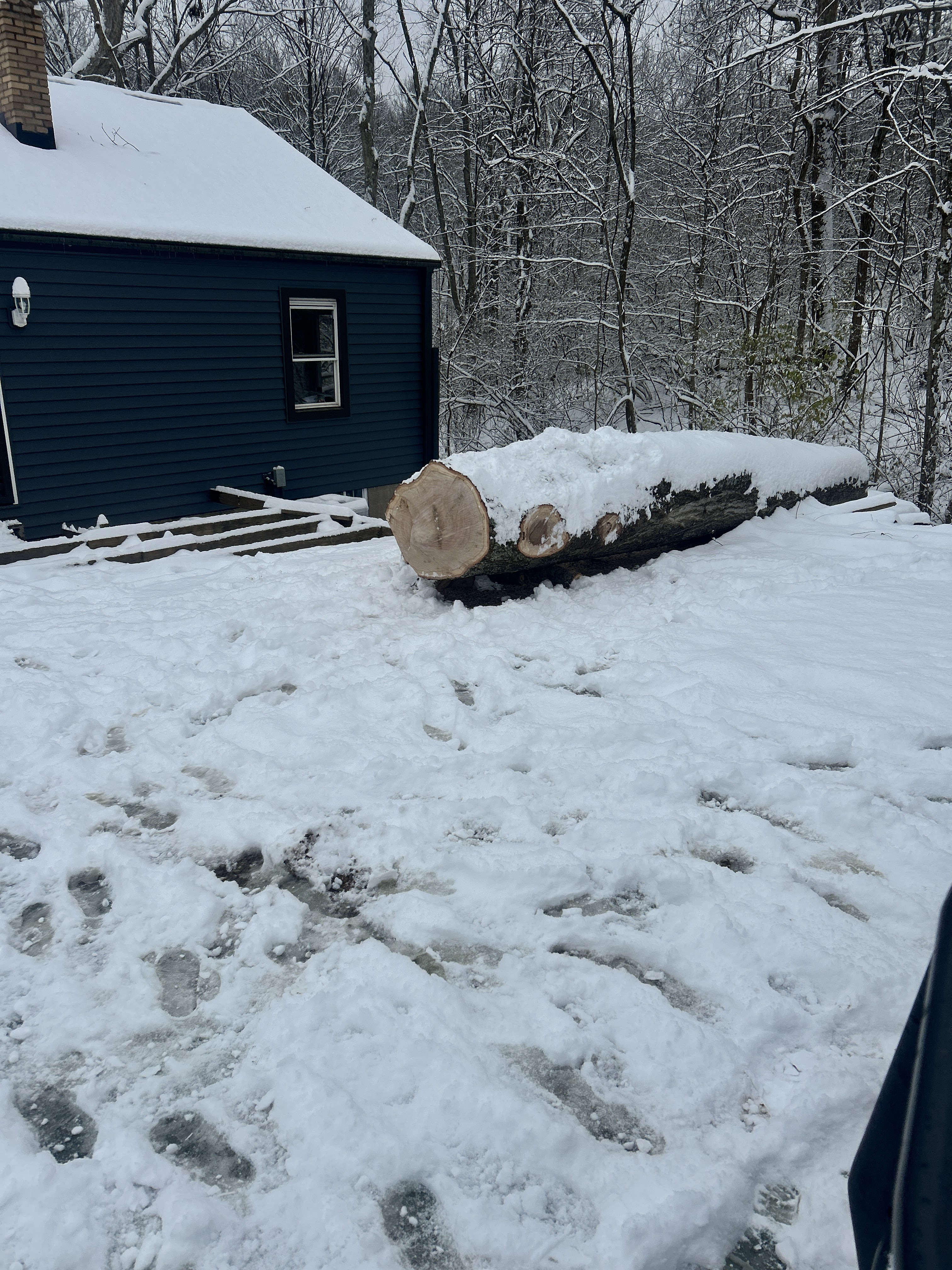  for Terra Steel Creations in Independence, KY