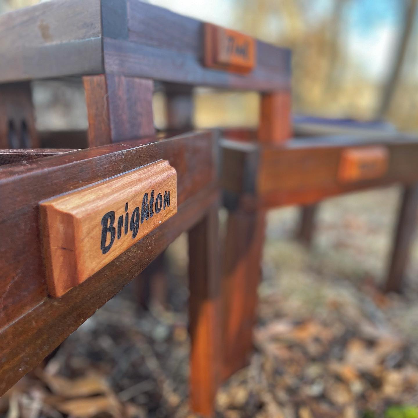 cover-photo