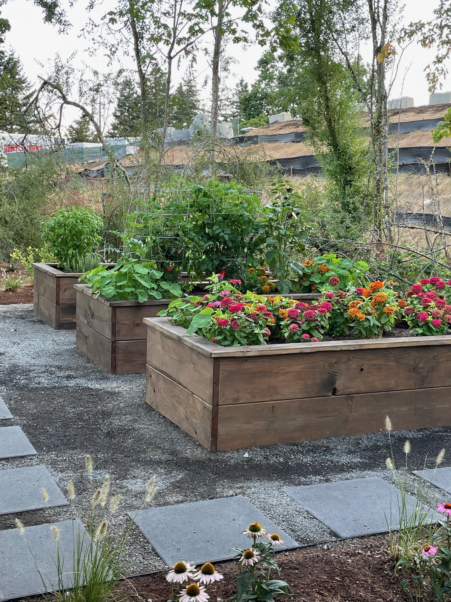  for Courtney Lewis Landscape Design in Portland, OR