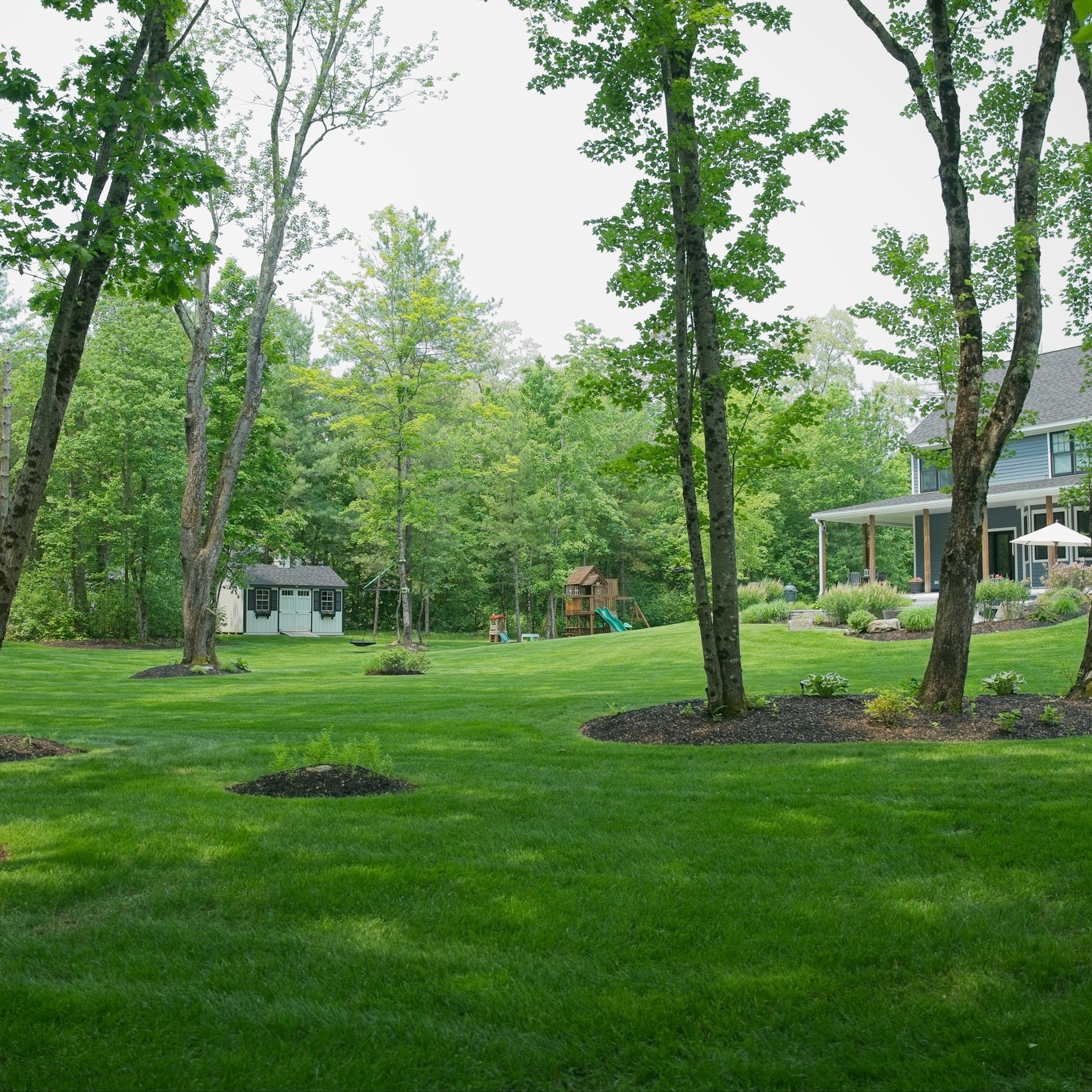 Brush Cutbacks and Pruning