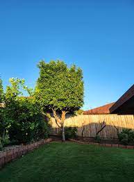 Minnesota Seasonal team in Corcoran, MN - people or person