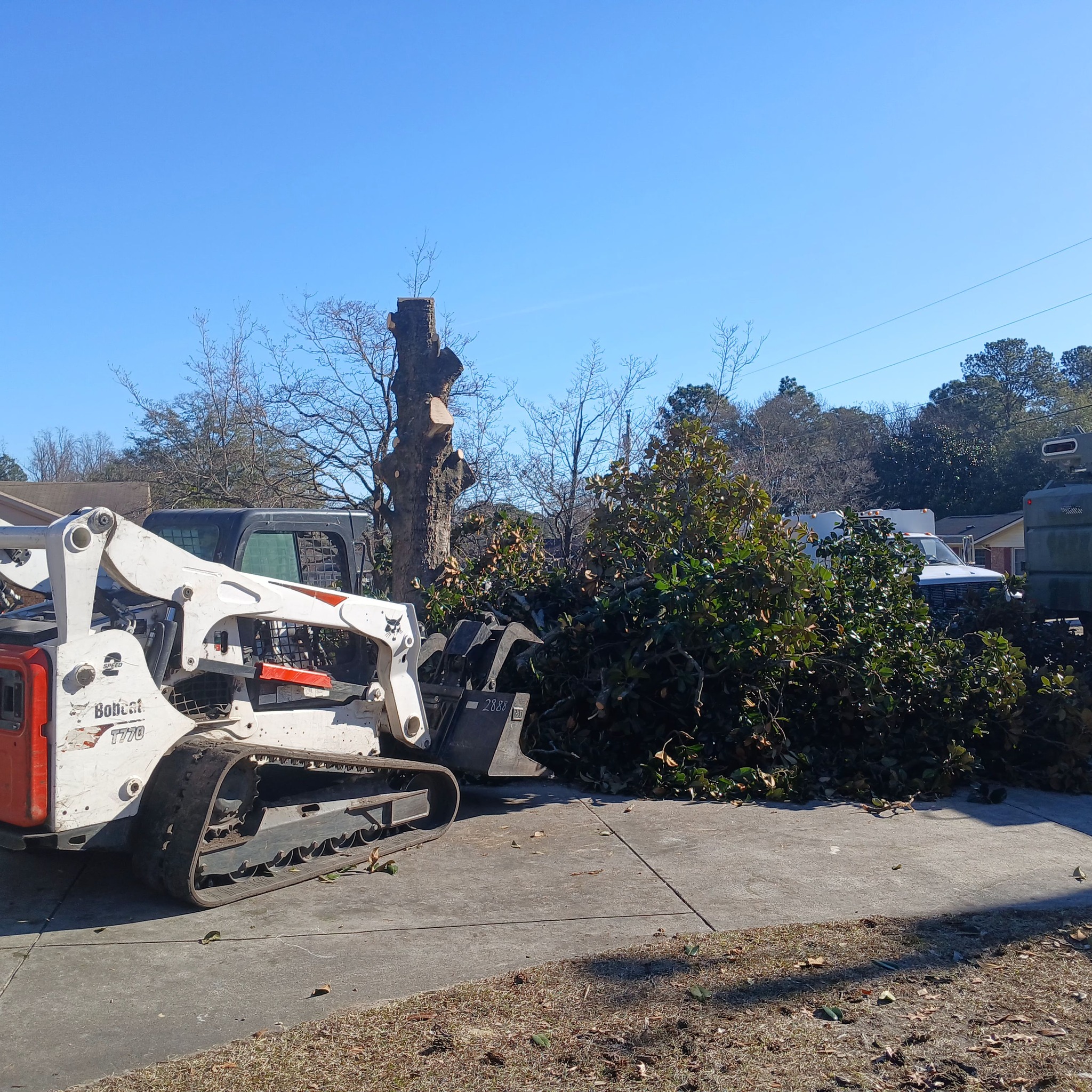 tree service company Kingdom Riderz Hauling And Tree Service in Tar Heel, NC