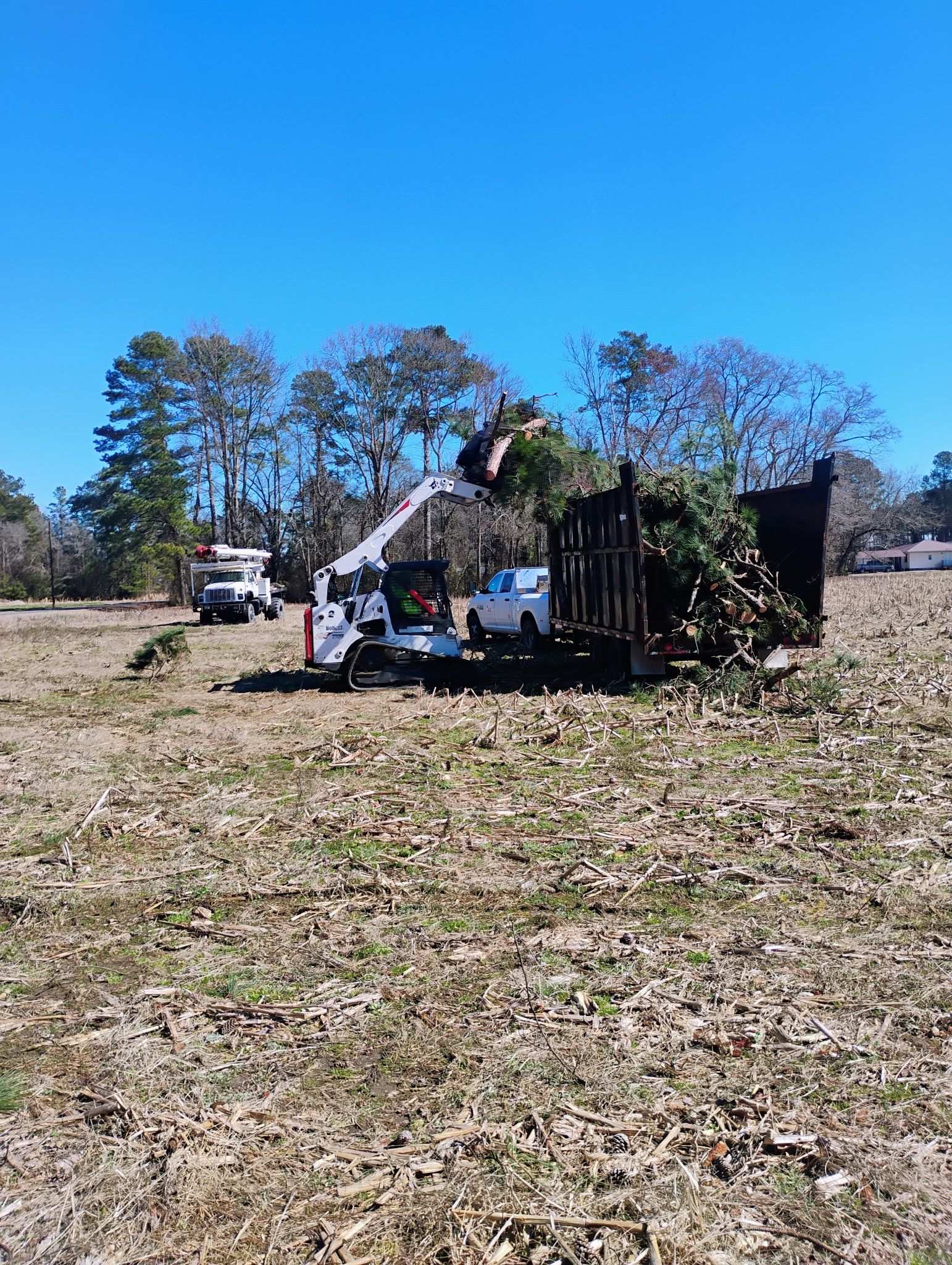 tree service company Kingdom Riderz Hauling And Tree Service in Tar Heel, NC
