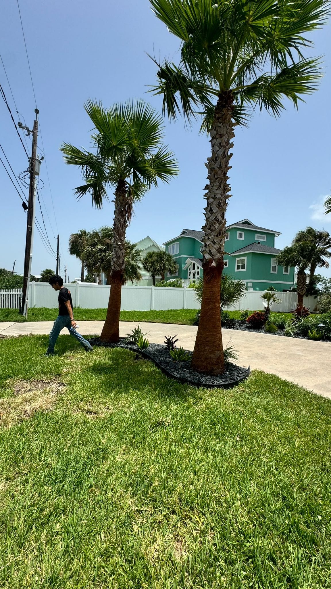  for CRM Palm & Landscaping in Rockport, TX