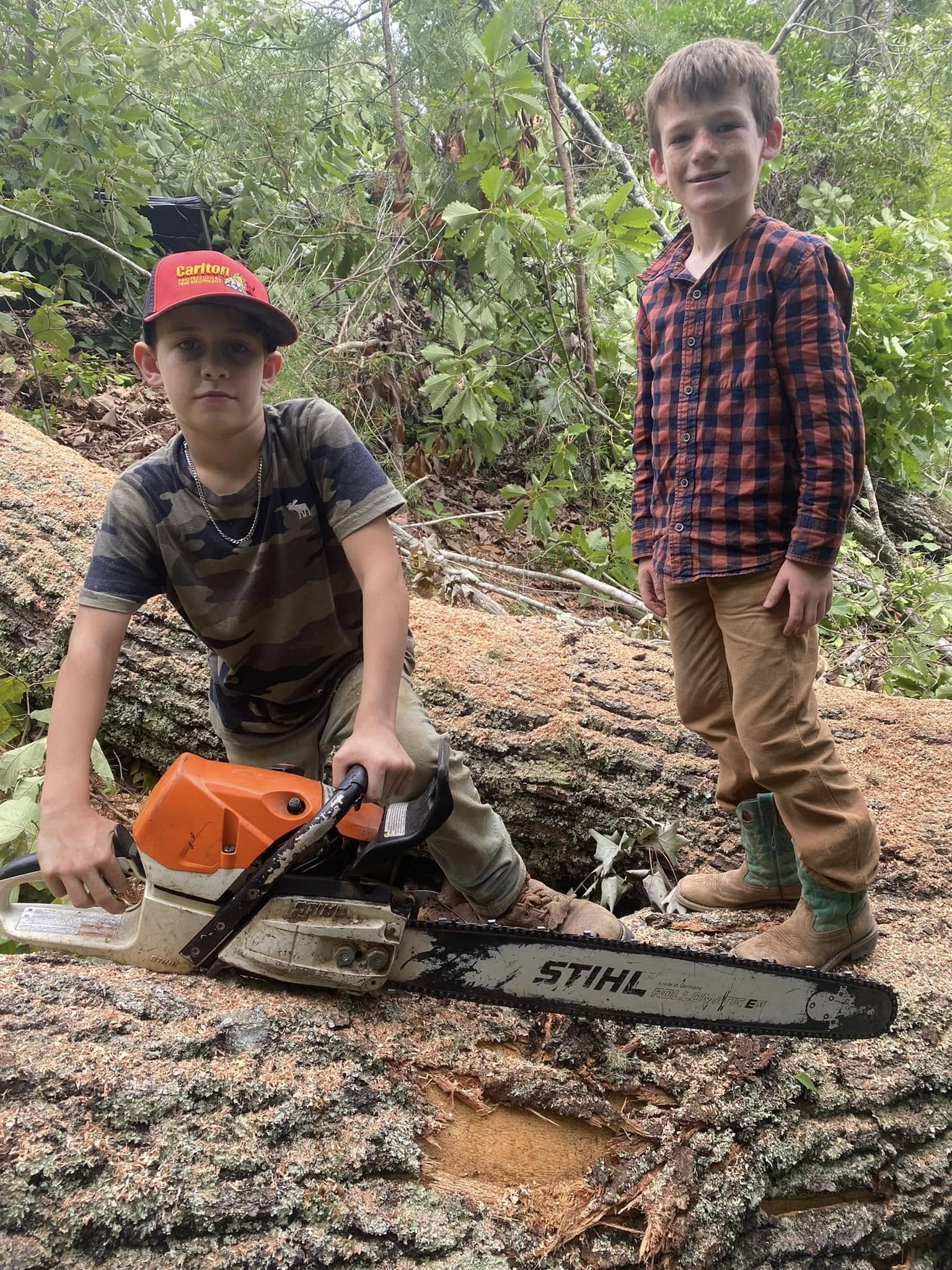  for Andy's Tree Service in Zirconia, NC