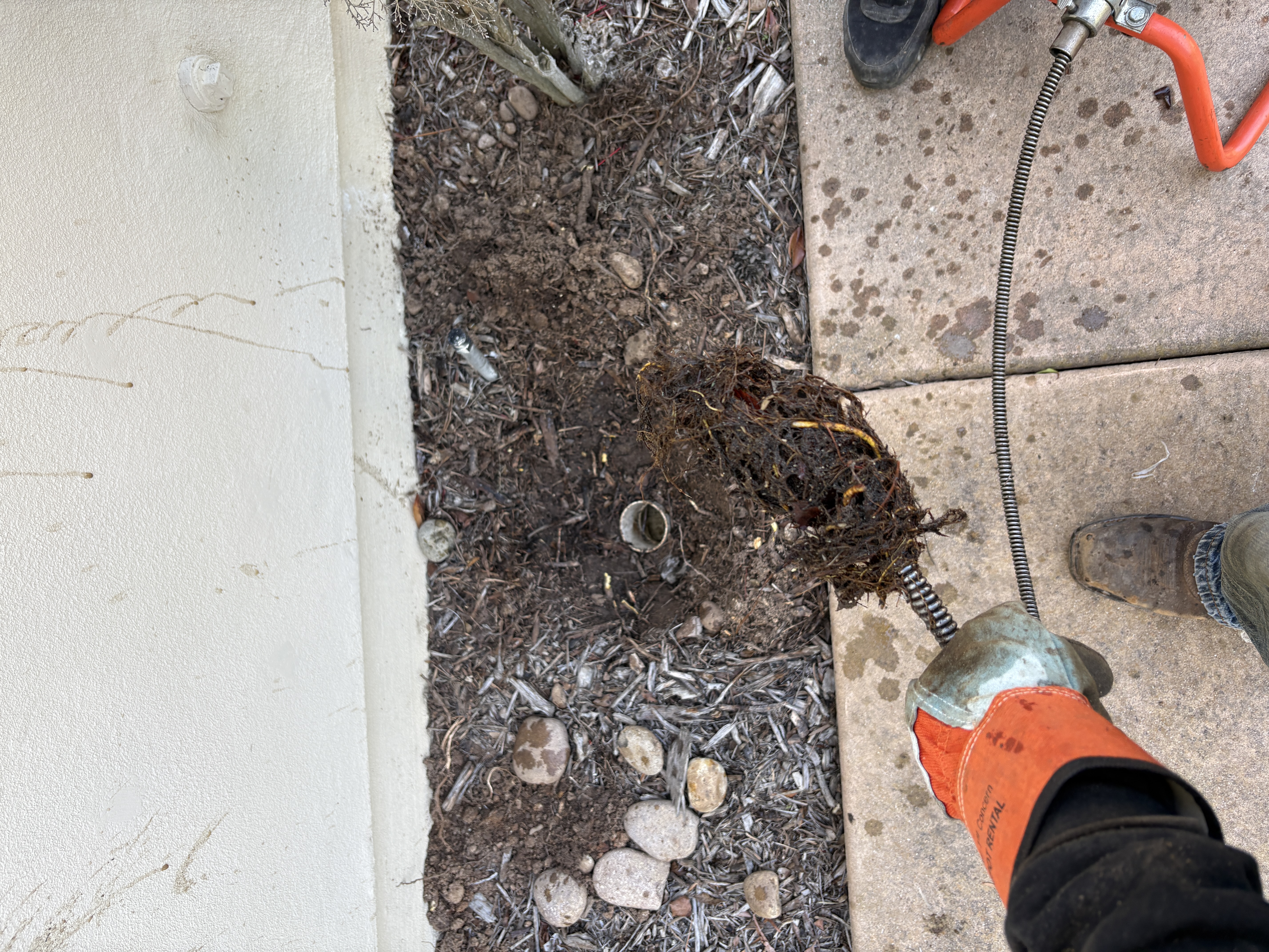  for Herreras Land Service in San Diego, CA