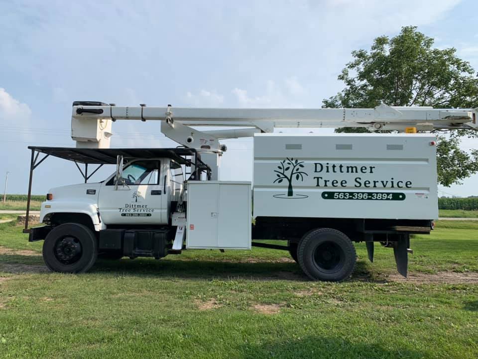 tree service company Dittmer Tree Service in Davenport, IA