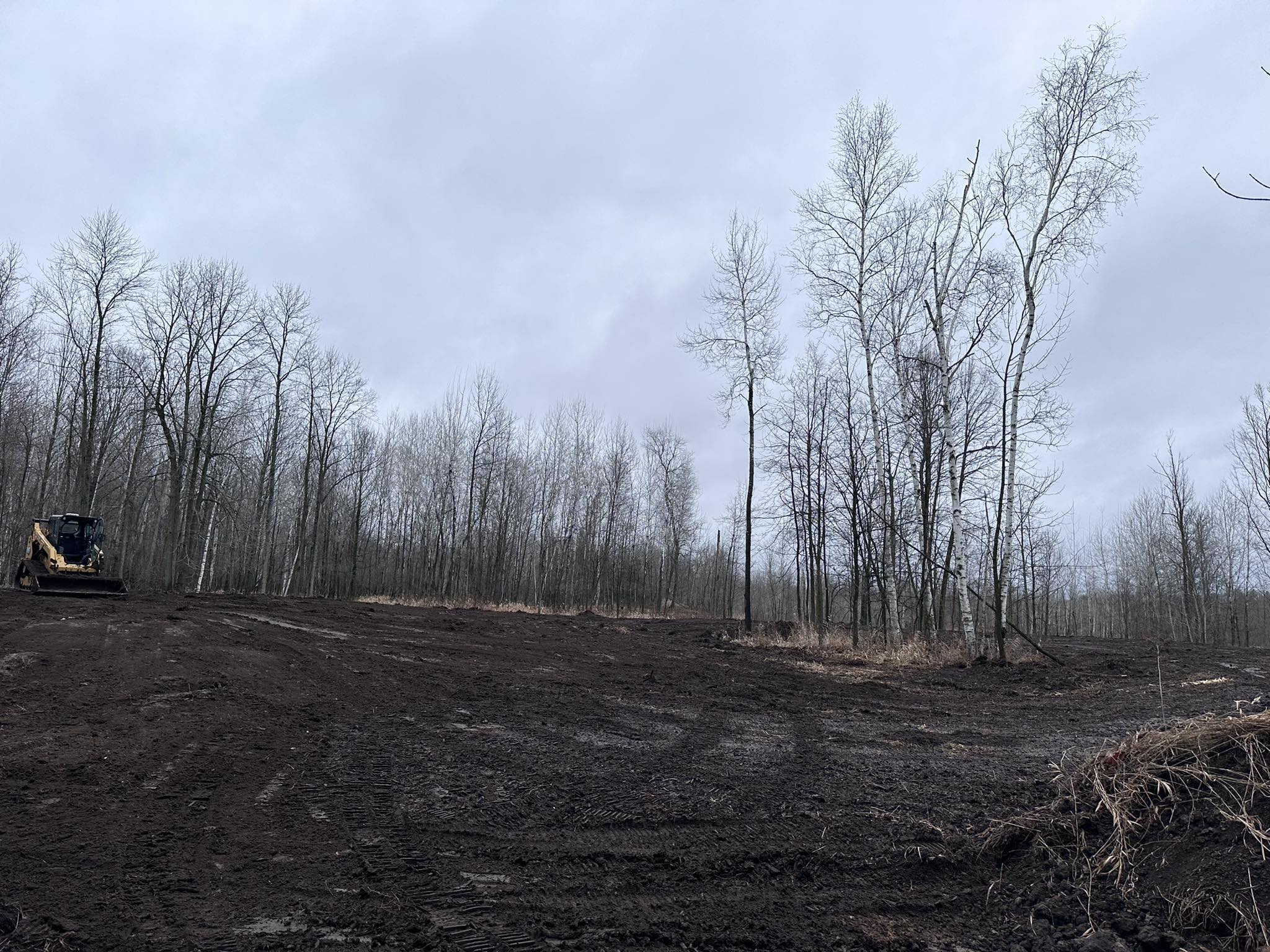  for B & M Land Management in Green Bay, WI