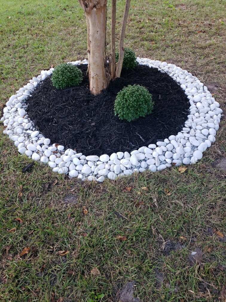  for Voilà Magic LawnCare Services in Jacksonville, NC