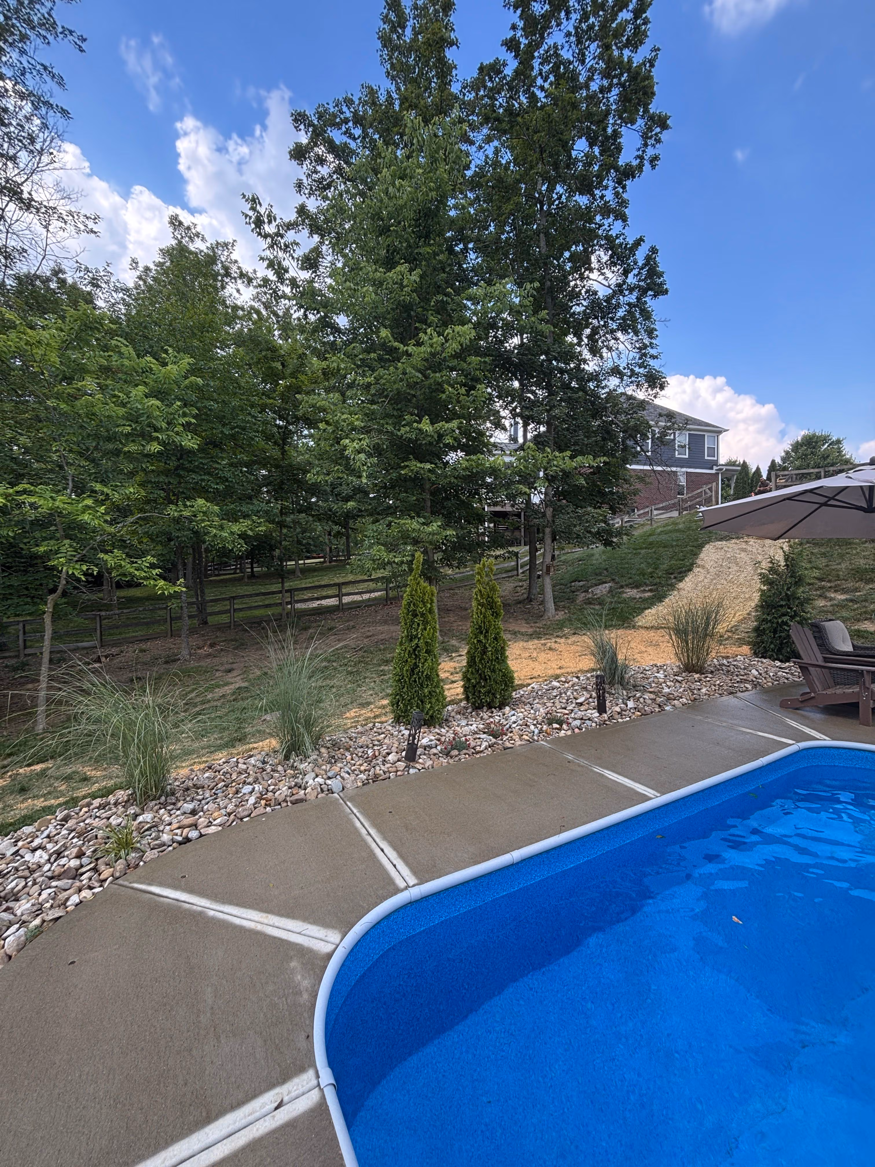 Landscape Around Pool in Union, KY