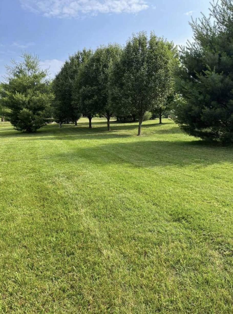 Landscaping company Wright Lawn Services in Ozark, MO