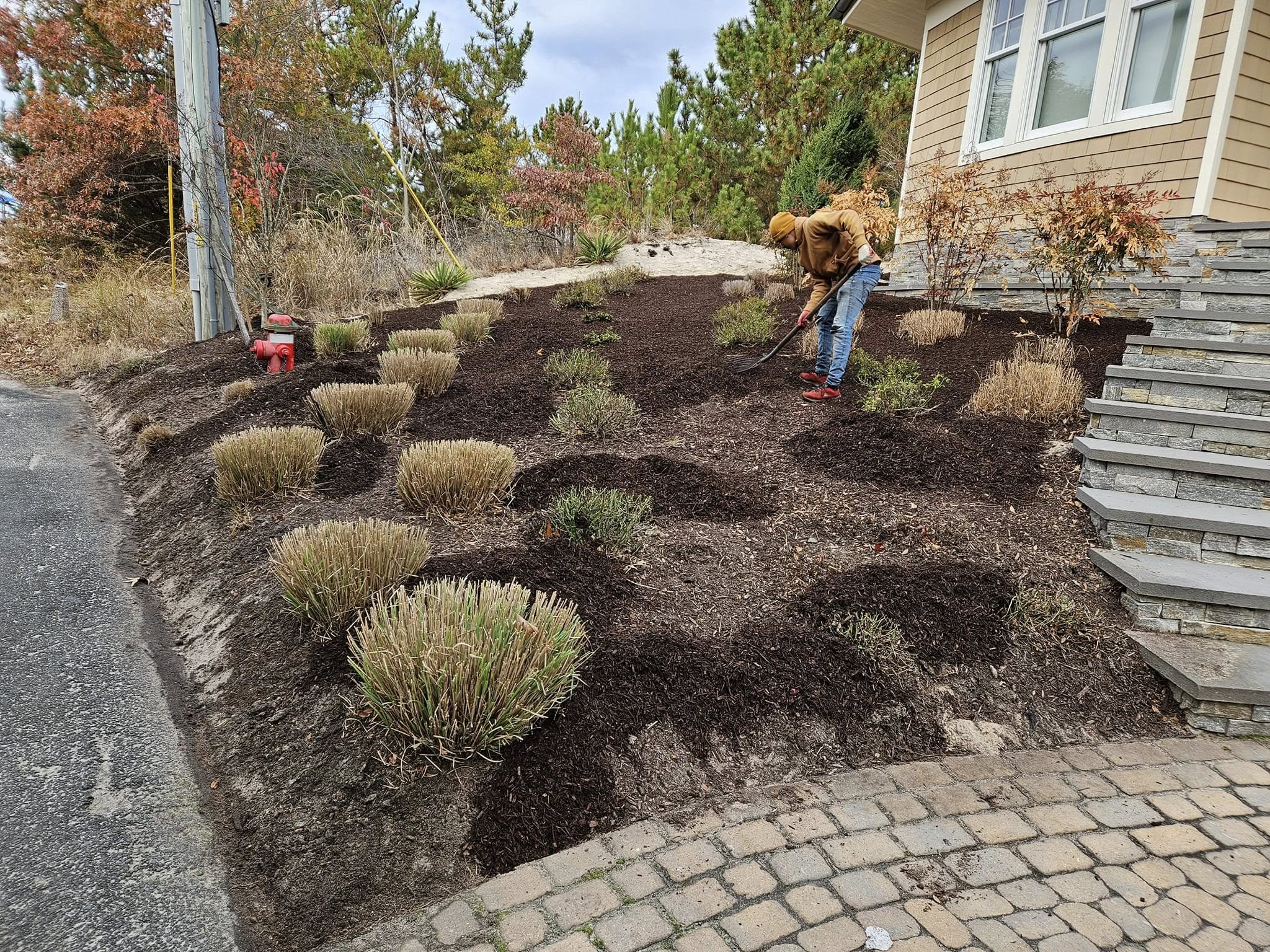  for New Dawn Landscaping LLC in Georgetown, DE