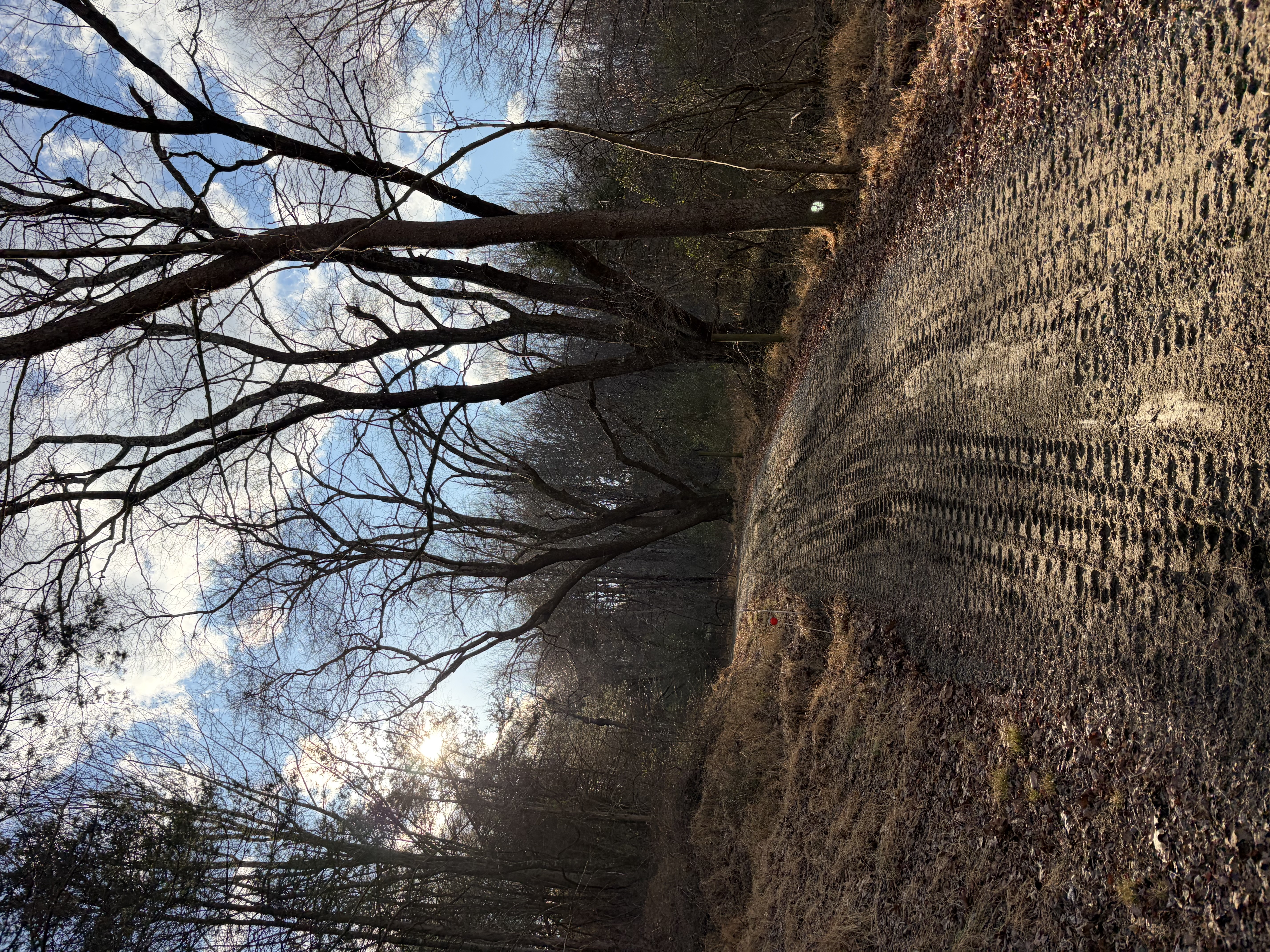  for 9999 Building and Renovation LLC in Warrenton, VA