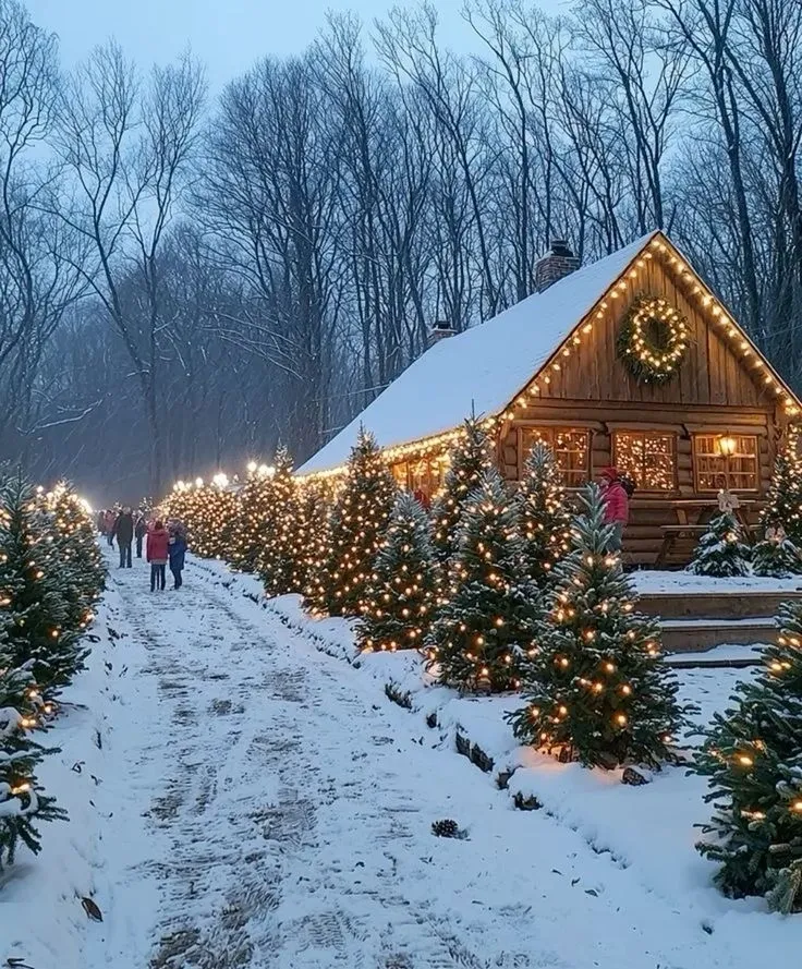  for Amazing Christmas Lights in Magnolia, TX