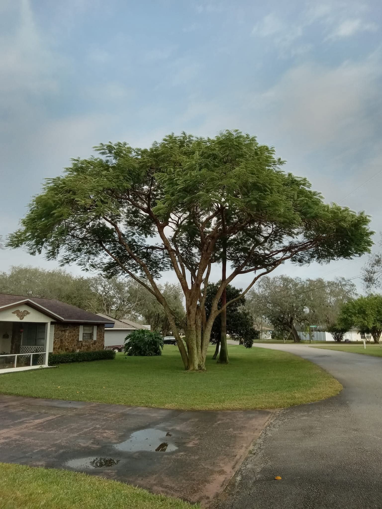cover-photo