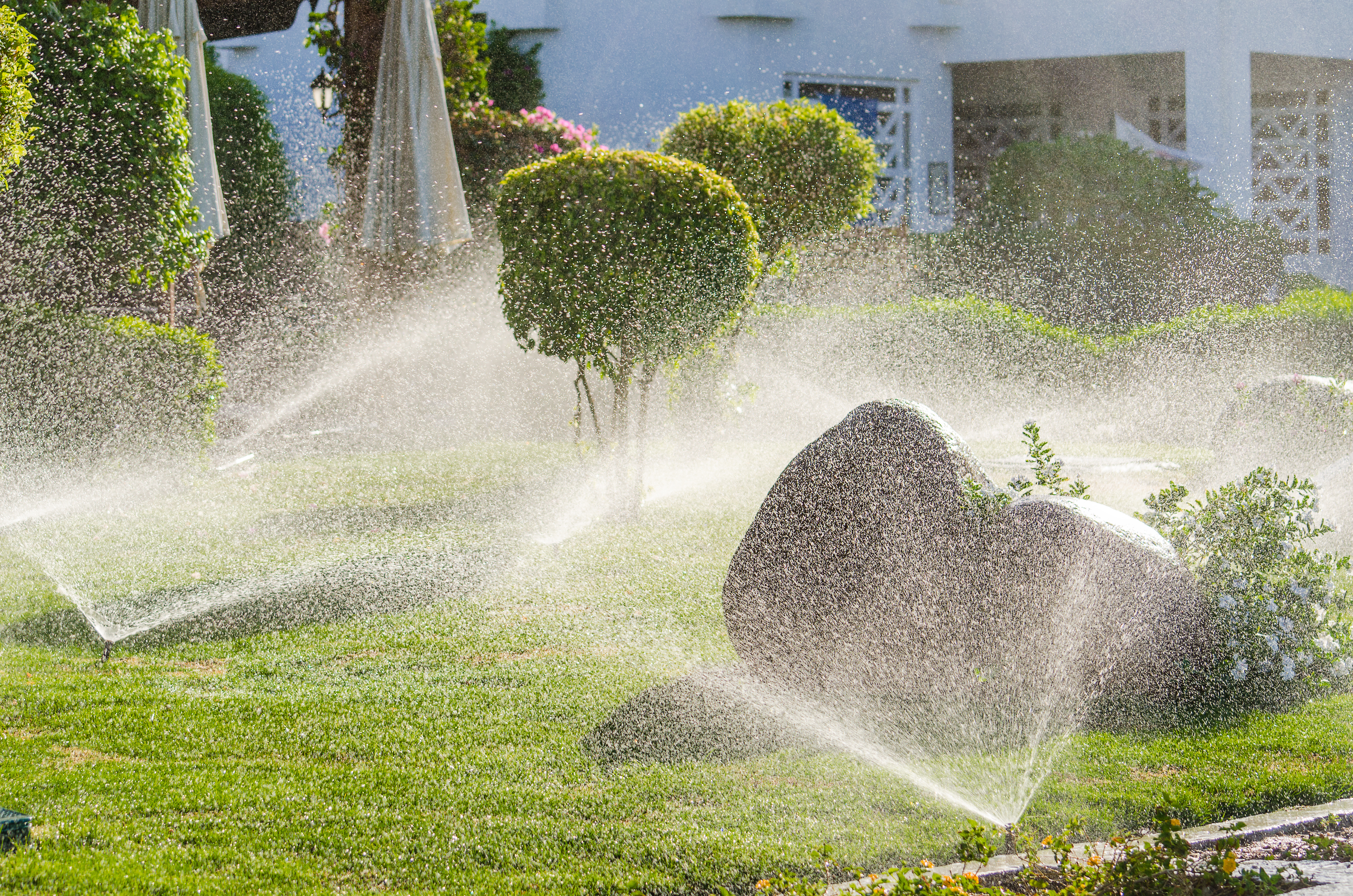 Lane Landscaping team in Beaumont, TX - people or person
