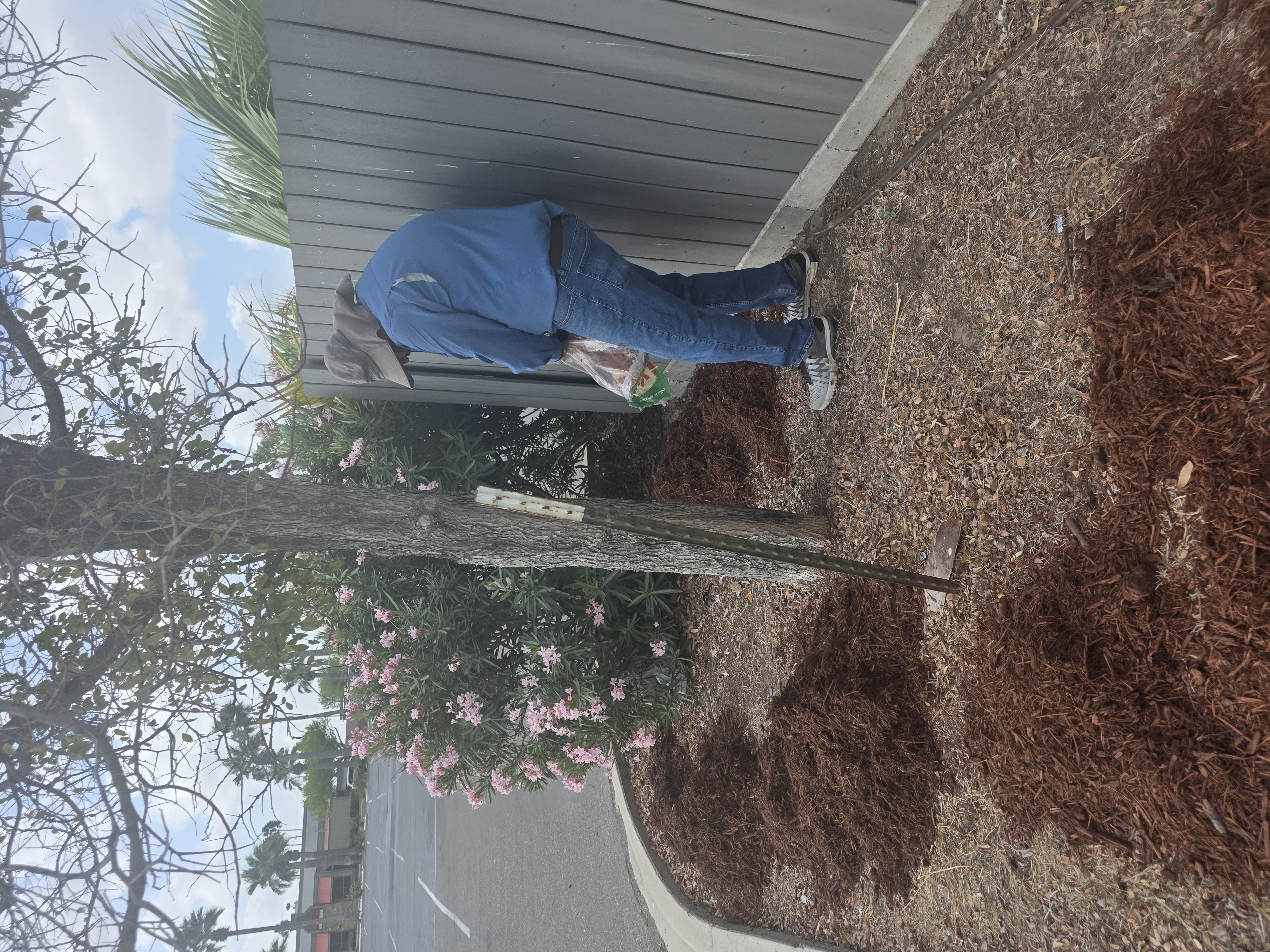  for Pro Lawn Care RGV in McAllen, TX