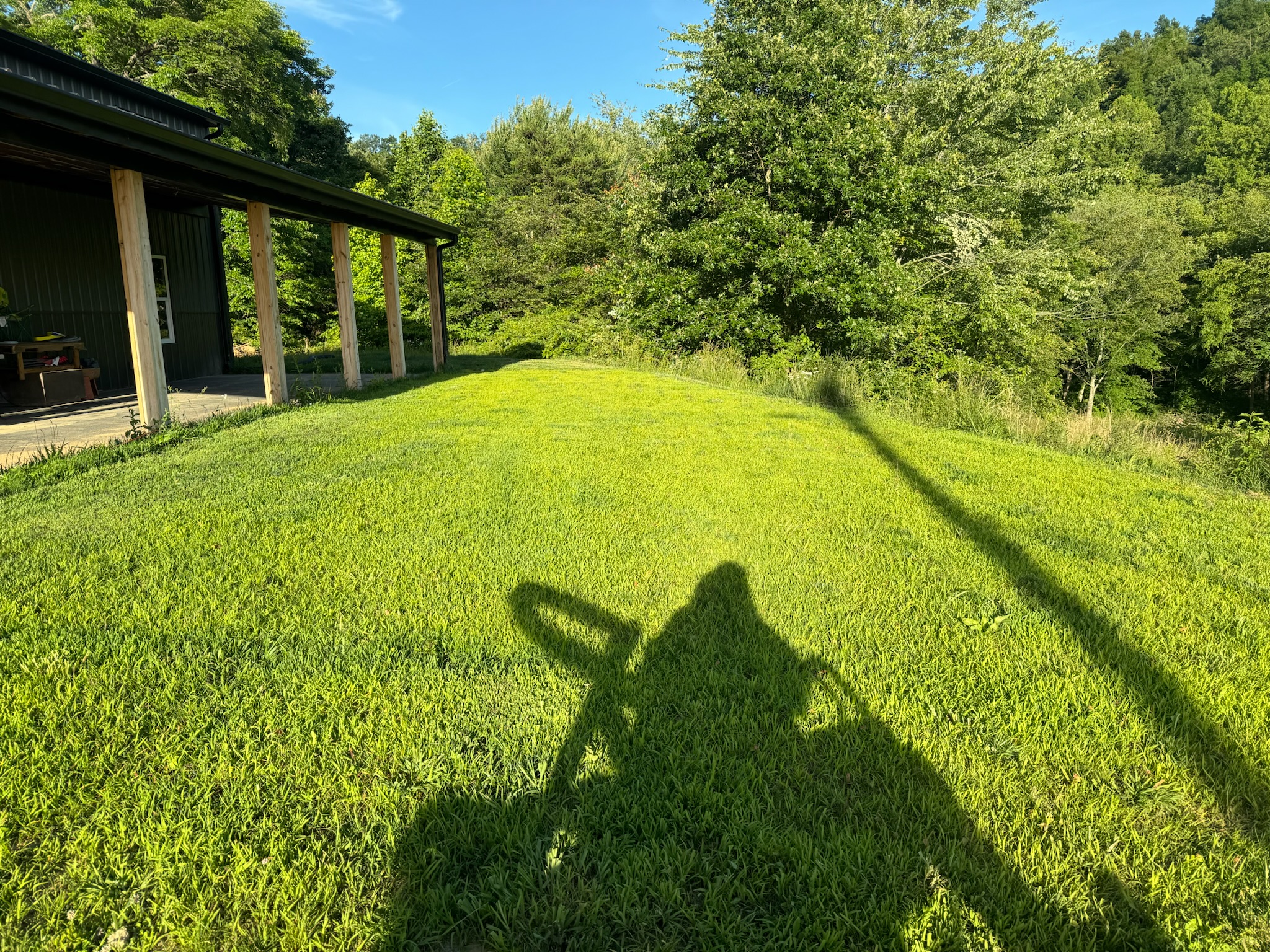 Established green lawn after hydroseeding