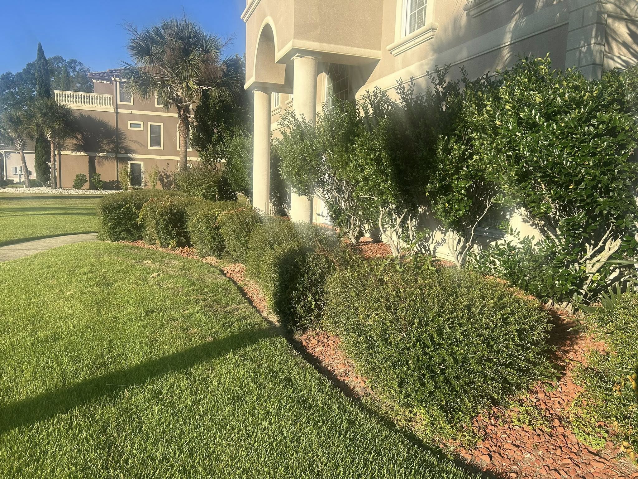  for New Creation Lawn and Landscape in Myrtle Beach, SC
