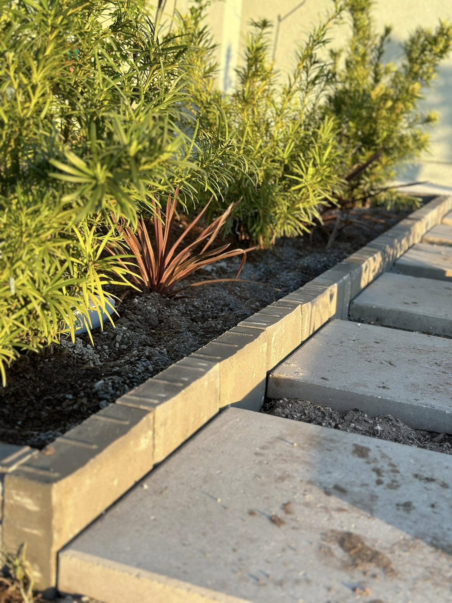  for Pro Turf Improvers in Jacksonville, FL